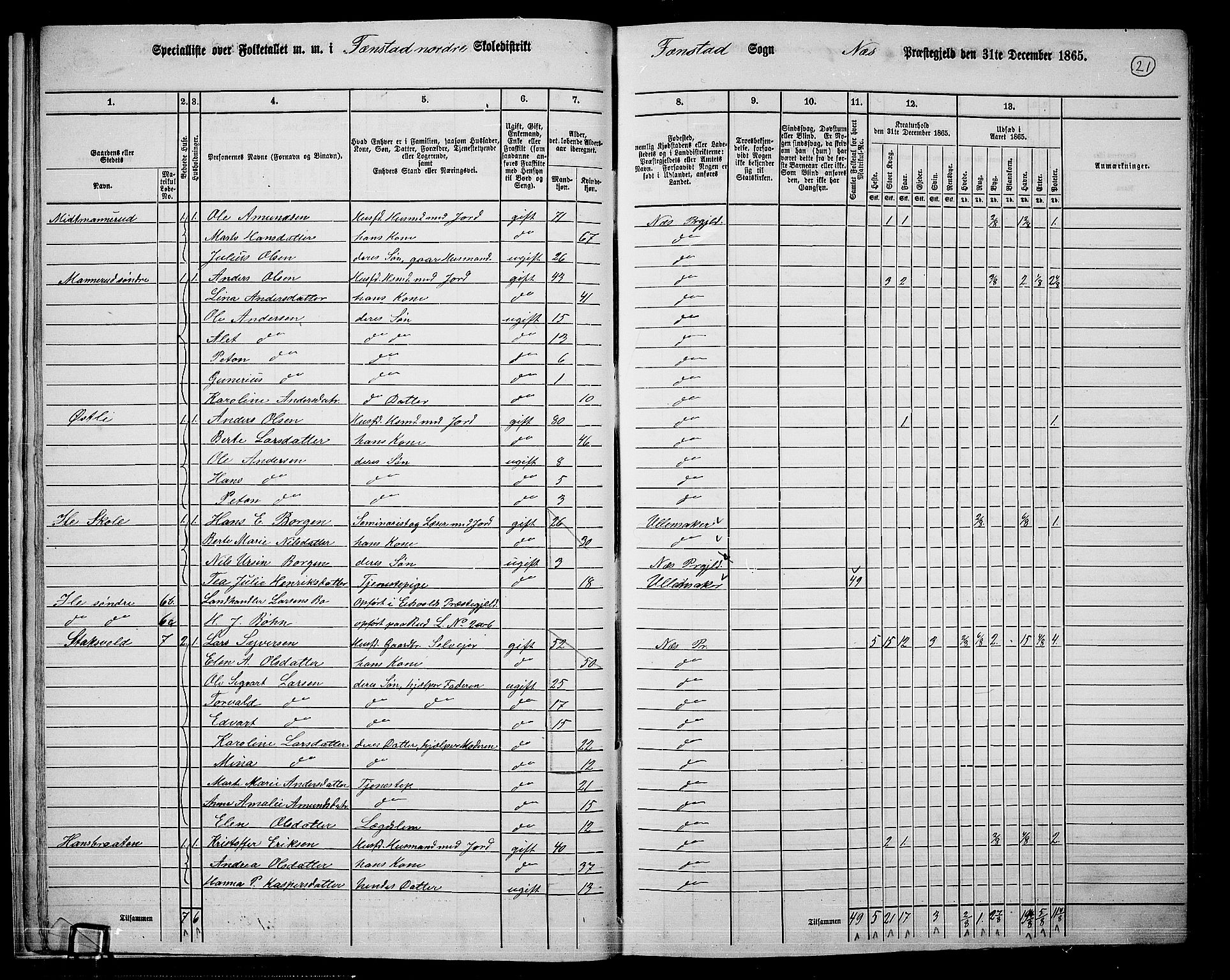 RA, 1865 census for Nes, 1865, p. 20
