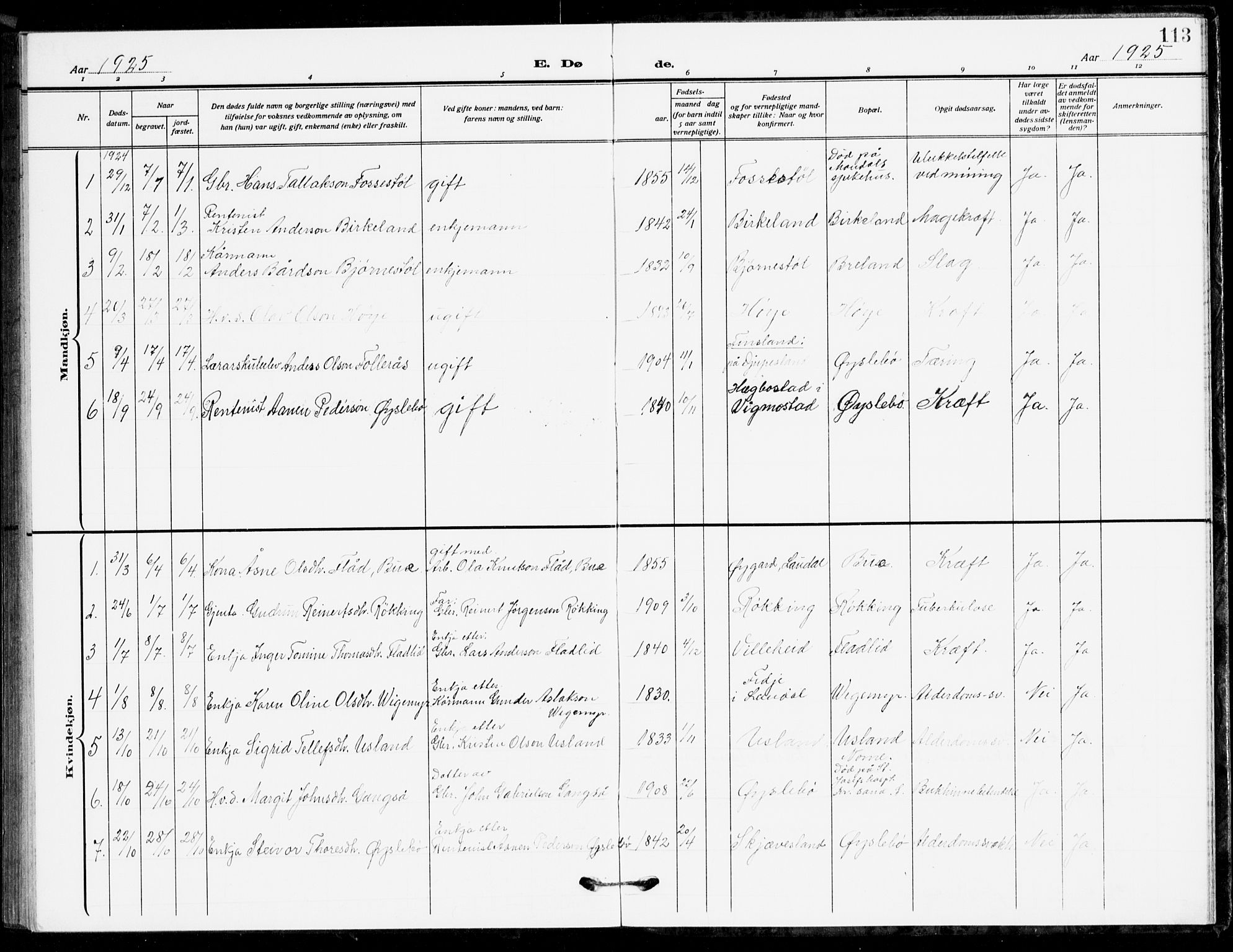 Holum sokneprestkontor, SAK/1111-0022/F/Fb/Fbc/L0004: Parish register (copy) no. B 4, 1908-1930, p. 113