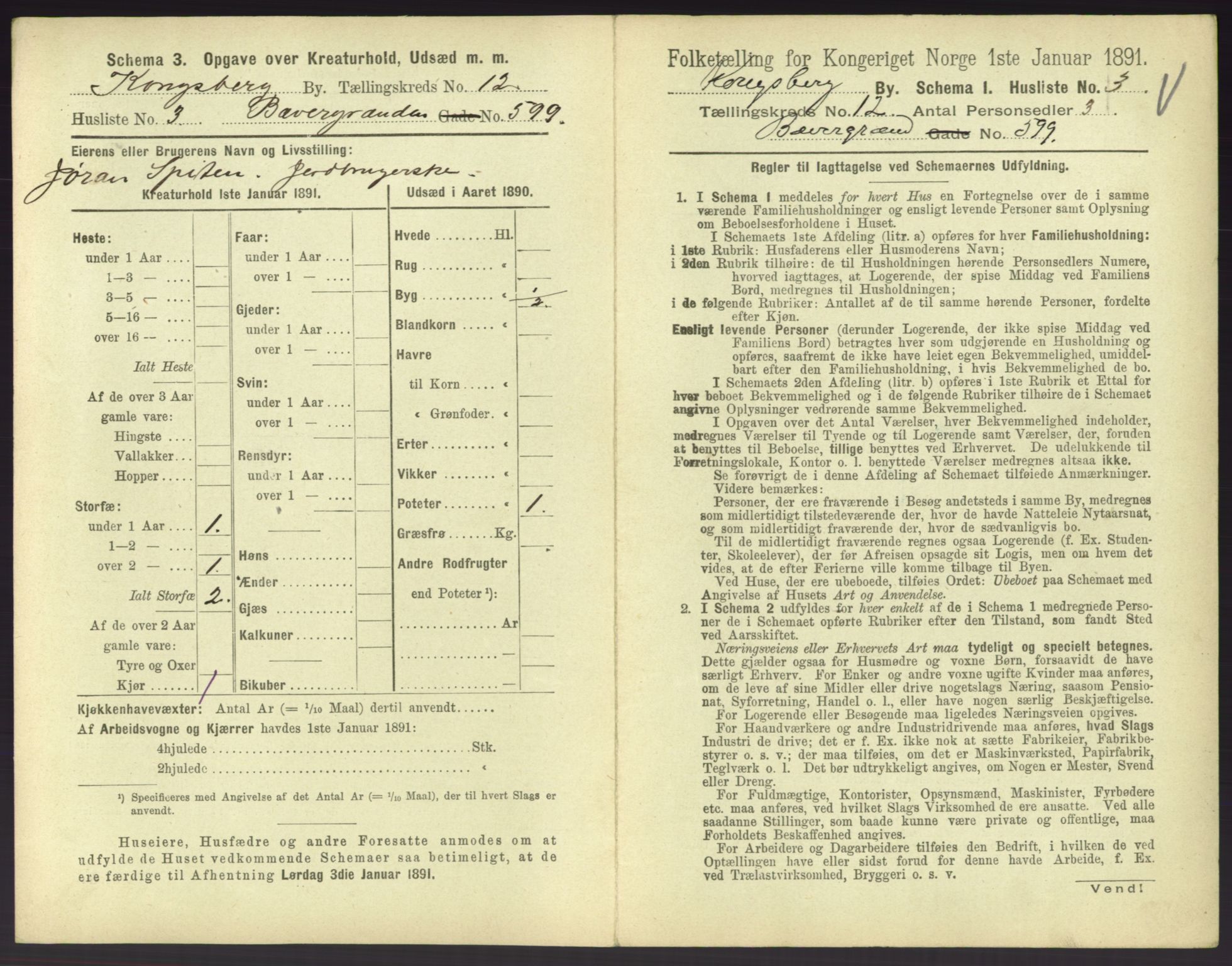 RA, 1891 census for 0604 Kongsberg, 1891, p. 1509