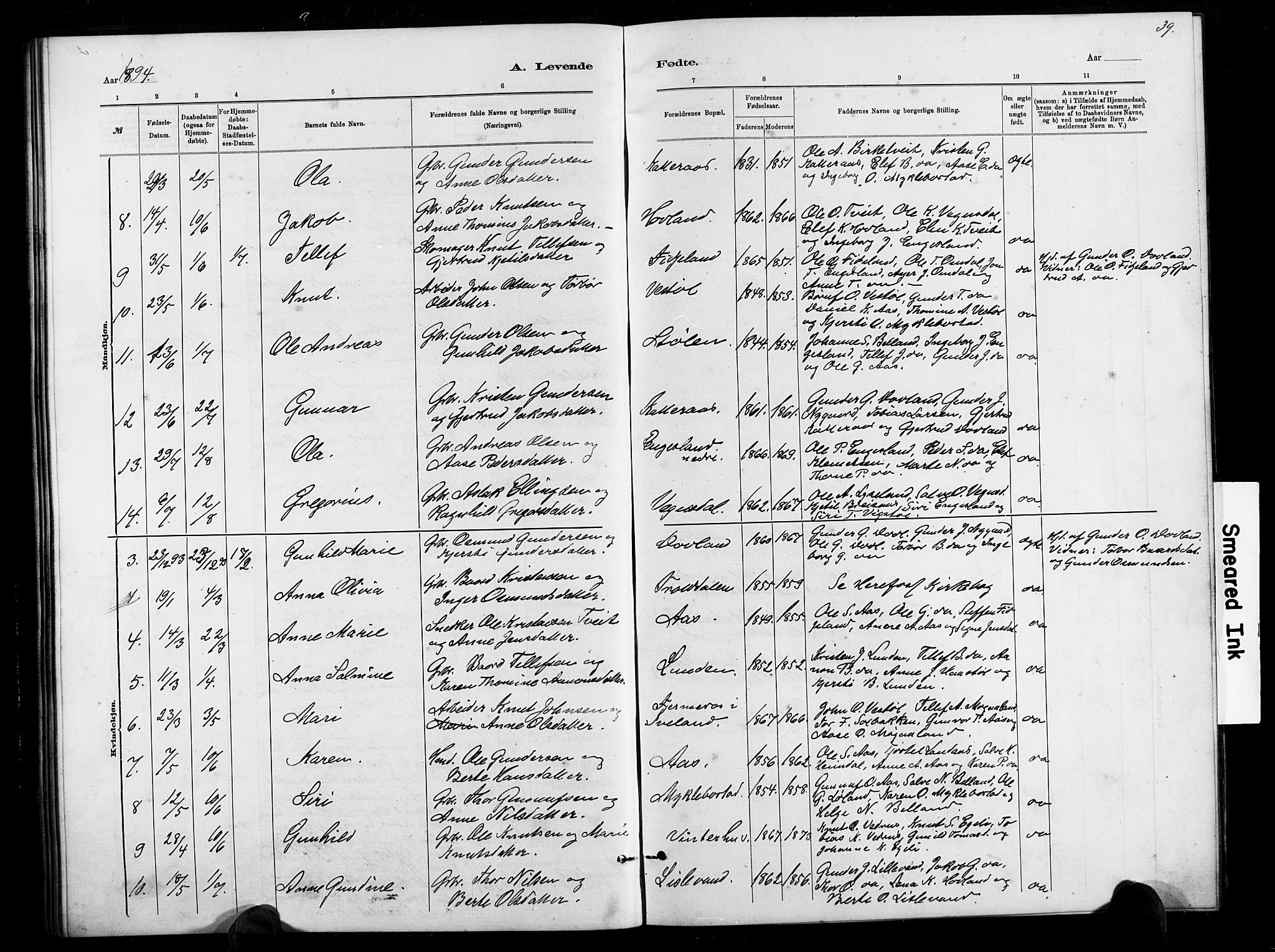 Herefoss sokneprestkontor, AV/SAK-1111-0019/F/Fb/Fbb/L0002: Parish register (copy) no. B 2, 1879-1894, p. 39