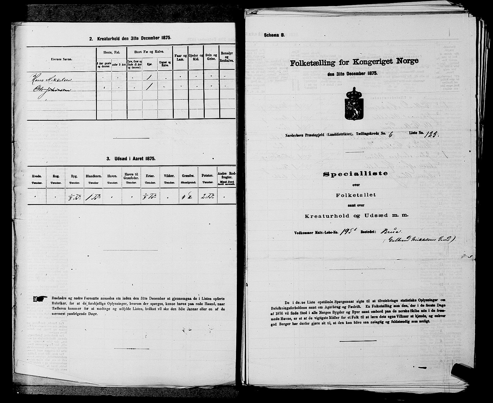 SAKO, 1875 census for 0613L Norderhov/Norderhov, Haug og Lunder, 1875, p. 971