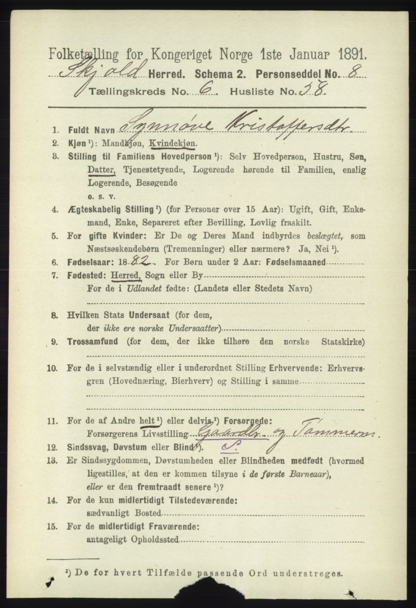 RA, 1891 census for 1154 Skjold, 1891, p. 1300