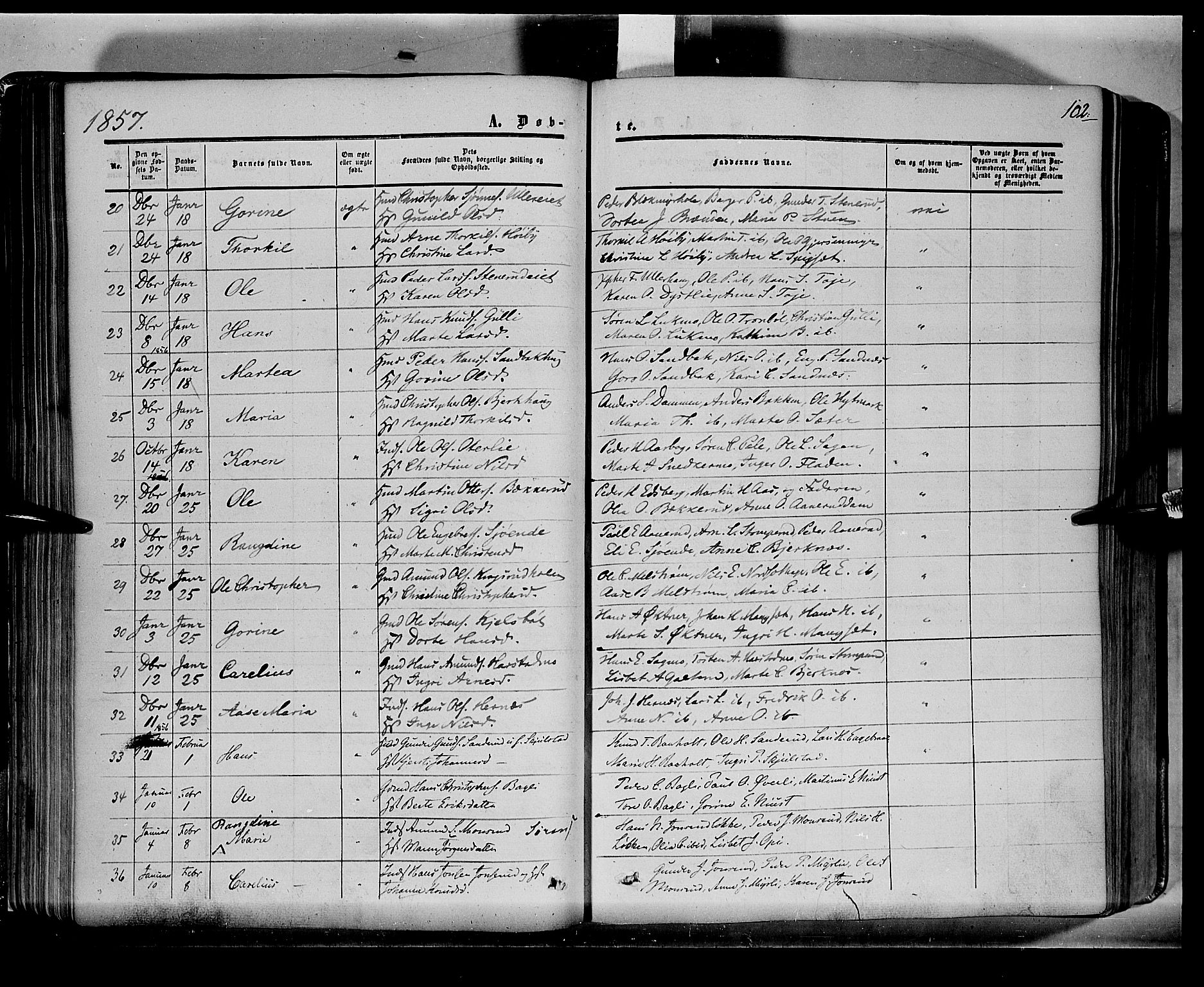 Sør-Odal prestekontor, SAH/PREST-030/H/Ha/Haa/L0001: Parish register (official) no. 1, 1849-1859, p. 102