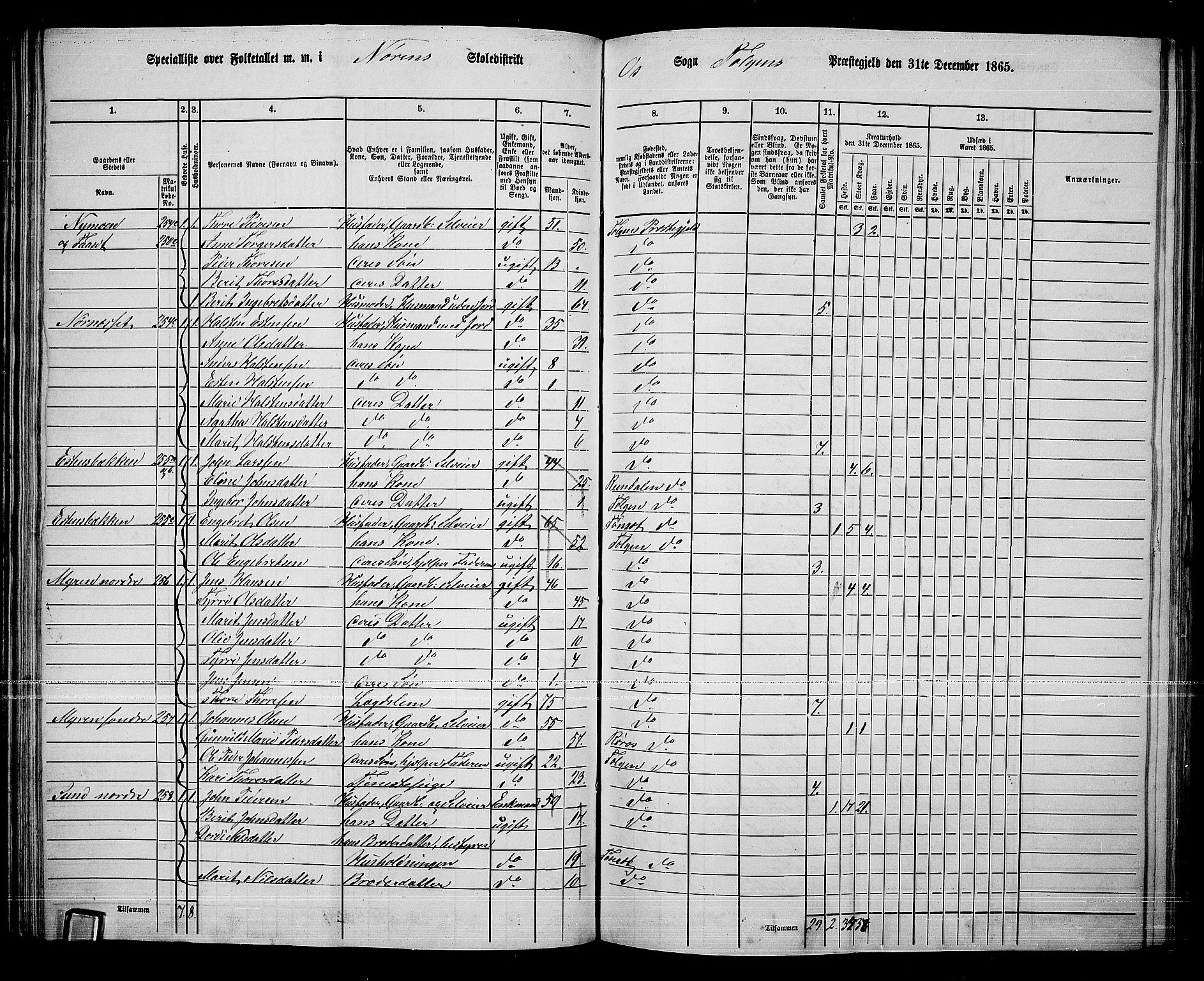 RA, 1865 census for Tolga, 1865, p. 101