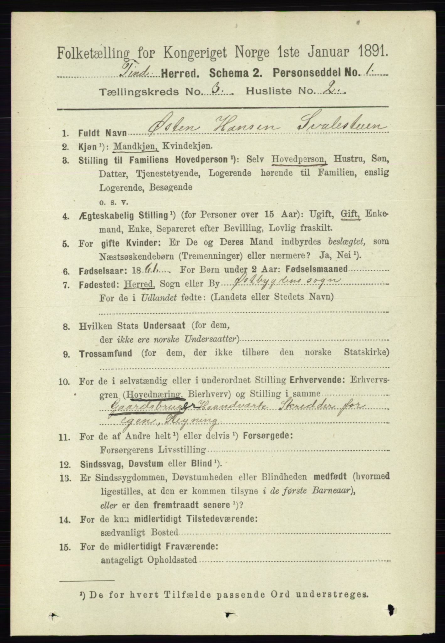 RA, 1891 census for 0826 Tinn, 1891, p. 509