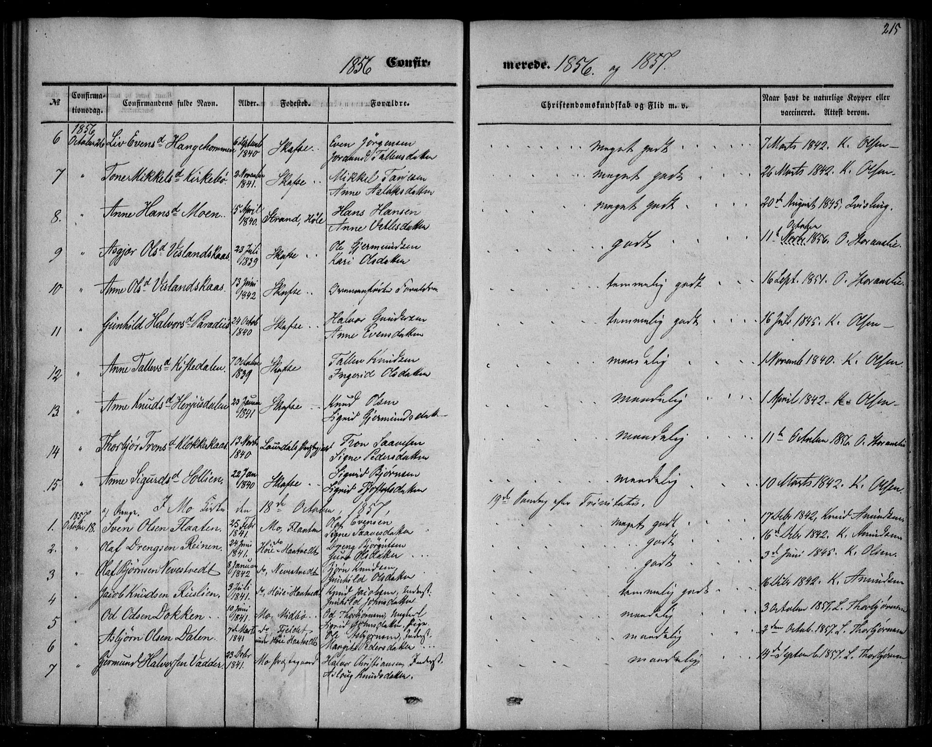 Mo kirkebøker, AV/SAKO-A-286/F/Fa/L0005: Parish register (official) no. I 5, 1844-1864, p. 215