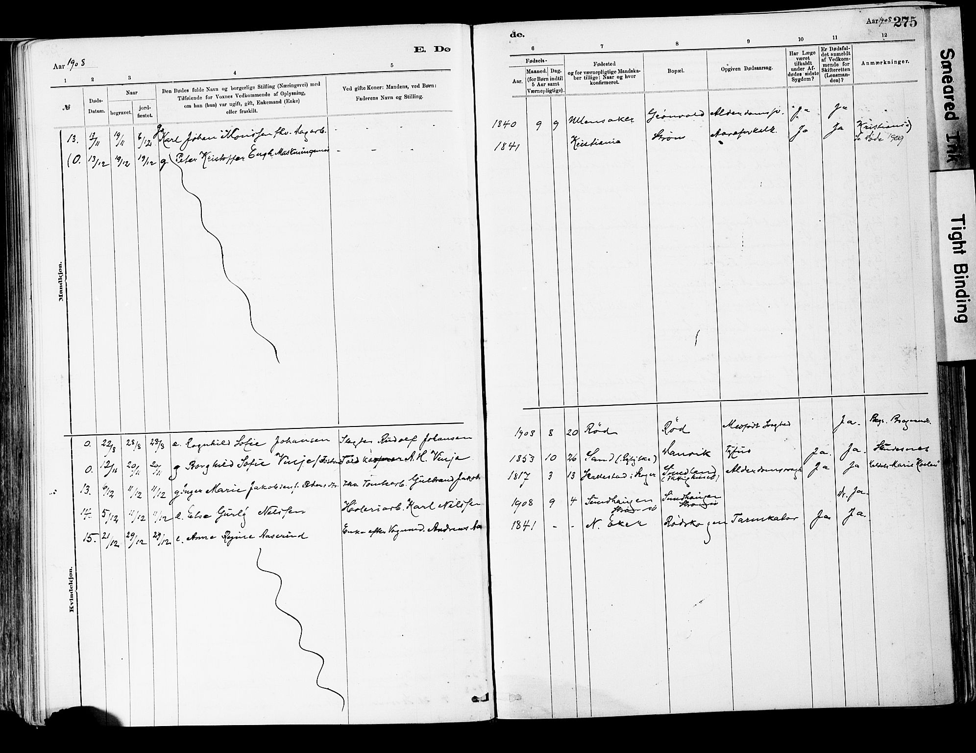 Strømsgodset kirkebøker, AV/SAKO-A-324/F/Fa/L0001: Parish register (official) no. 1, 1885-1909, p. 275