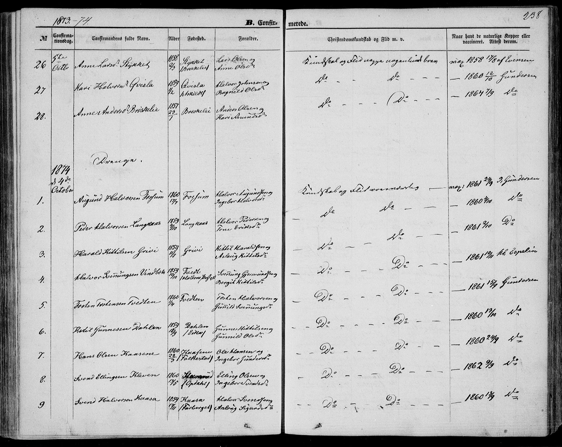 Bø kirkebøker, SAKO/A-257/F/Fa/L0009: Parish register (official) no. 9, 1862-1879, p. 238