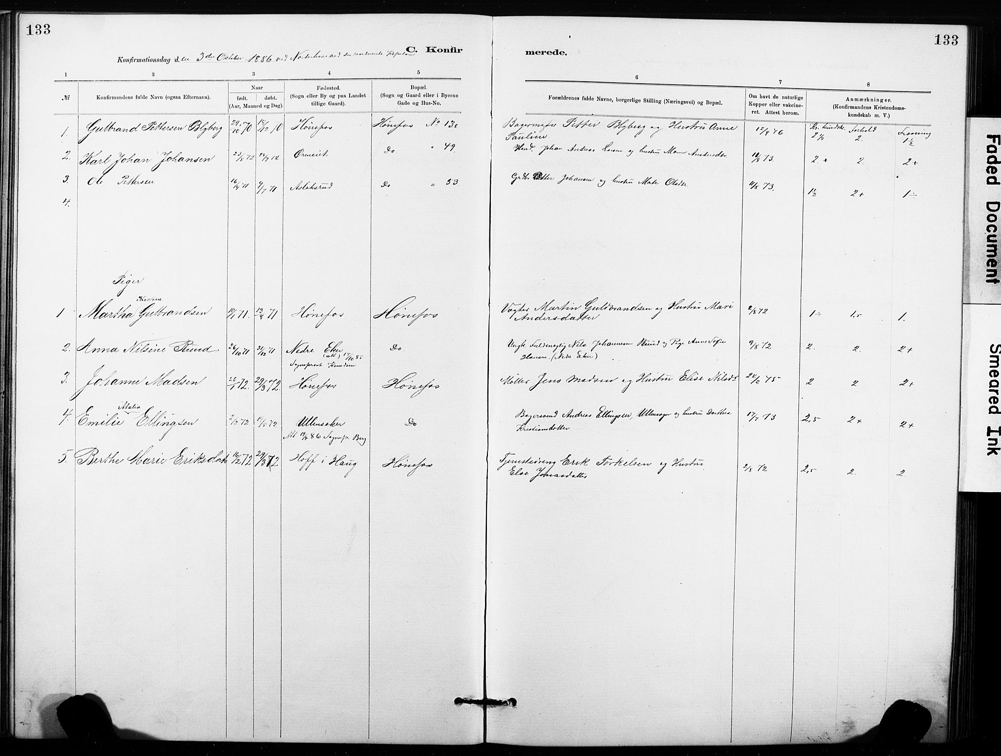 Hønefoss kirkebøker, SAKO/A-609/G/Ga/L0001: Parish register (copy) no. 1, 1870-1887, p. 133