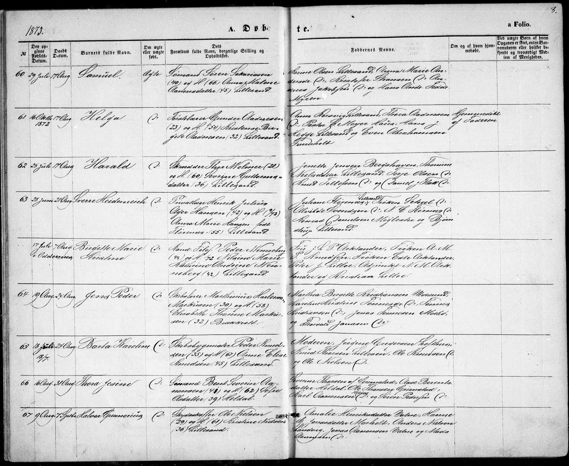 Vestre Moland sokneprestkontor, AV/SAK-1111-0046/F/Fb/Fbb/L0005: Parish register (copy) no. B 5, 1872-1883, p. 8