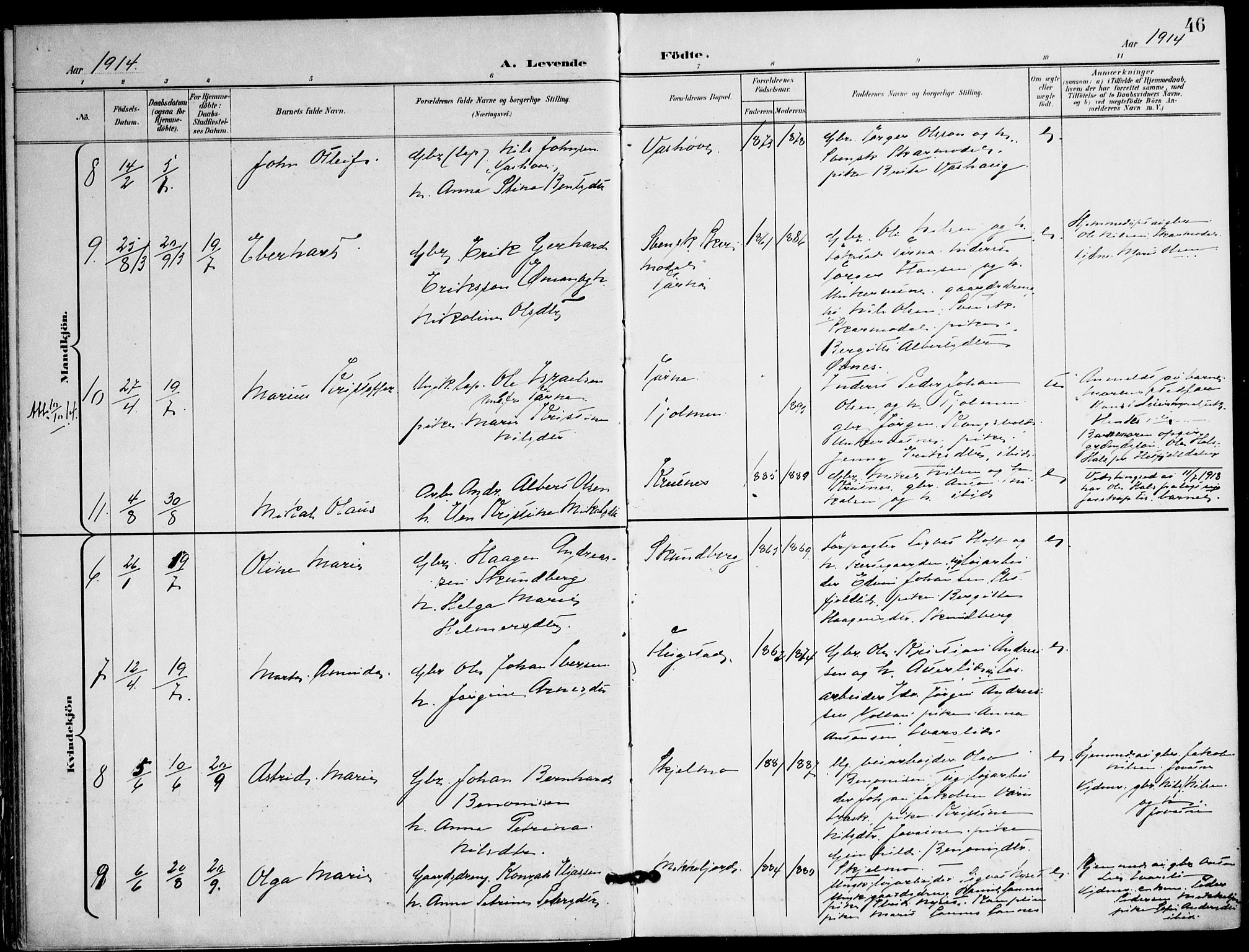 Ministerialprotokoller, klokkerbøker og fødselsregistre - Nordland, AV/SAT-A-1459/823/L0326: Parish register (official) no. 823A03, 1899-1919, p. 46