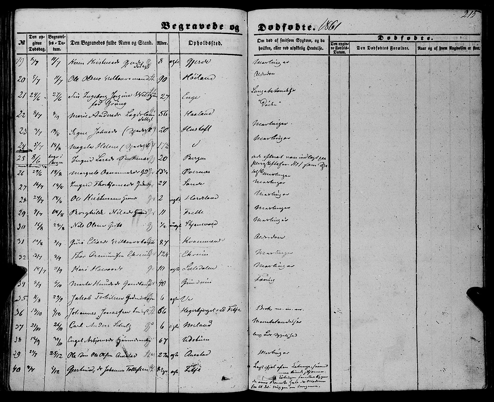 Etne sokneprestembete, AV/SAB-A-75001/H/Haa: Parish register (official) no. A 8, 1848-1862, p. 215