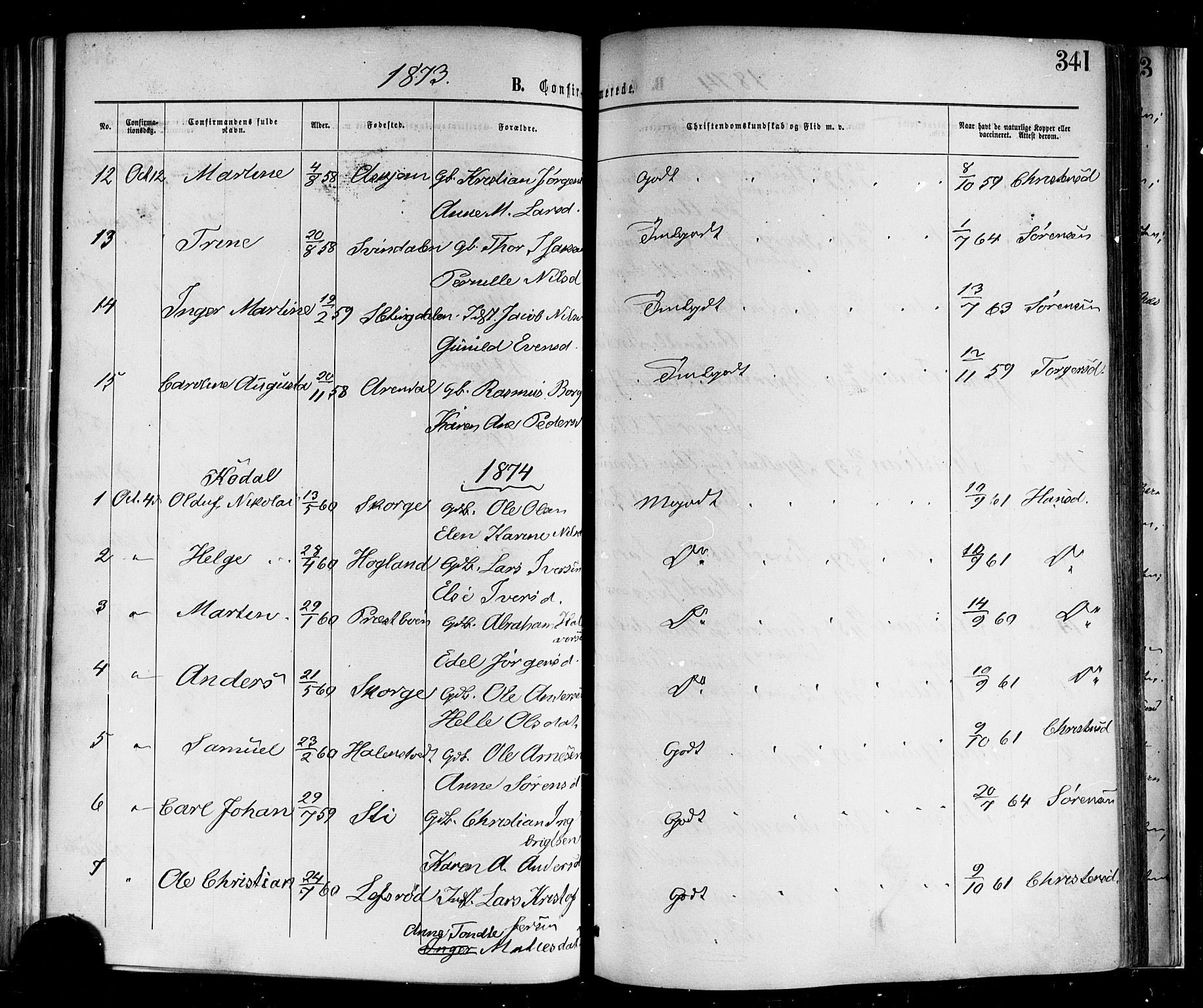 Andebu kirkebøker, SAKO/A-336/F/Fa/L0006: Parish register (official) no. 6, 1871-1878, p. 341