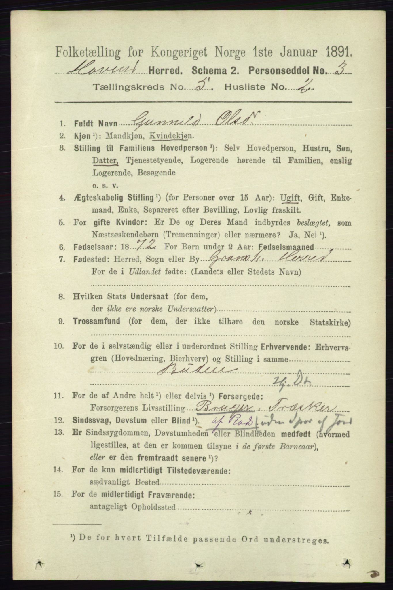 RA, 1891 census for 0825 Hovin, 1891, p. 989