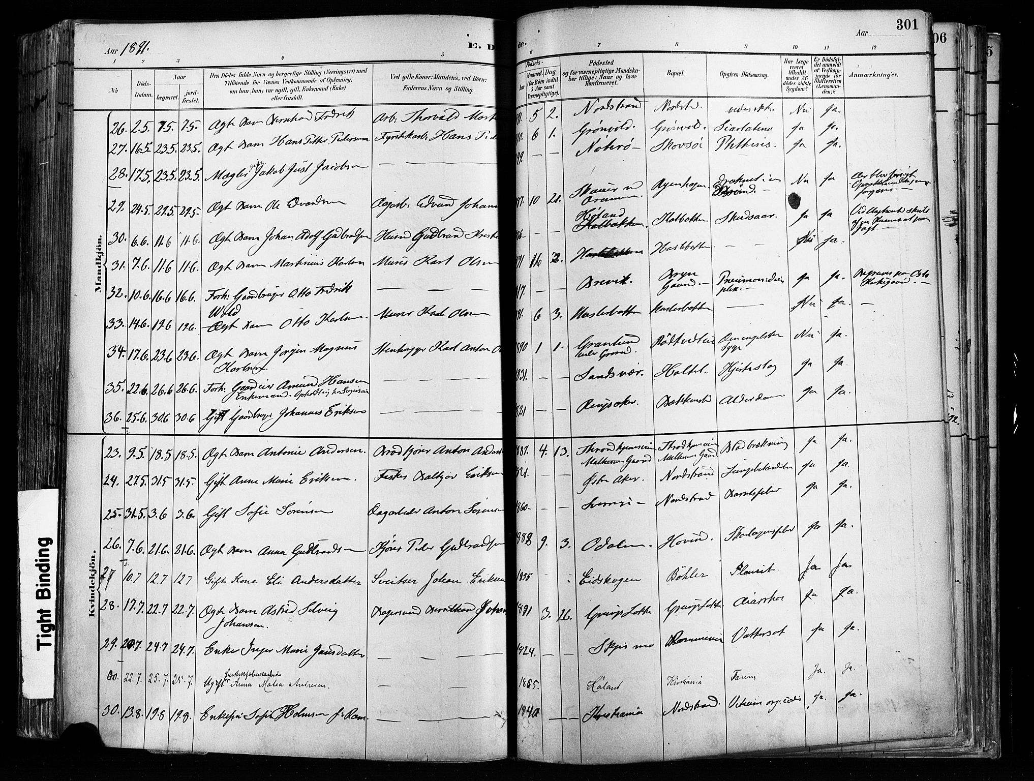 Østre Aker prestekontor Kirkebøker, AV/SAO-A-10840/F/Fa/L0008: Parish register (official) no. I 8, 1883-1894, p. 301