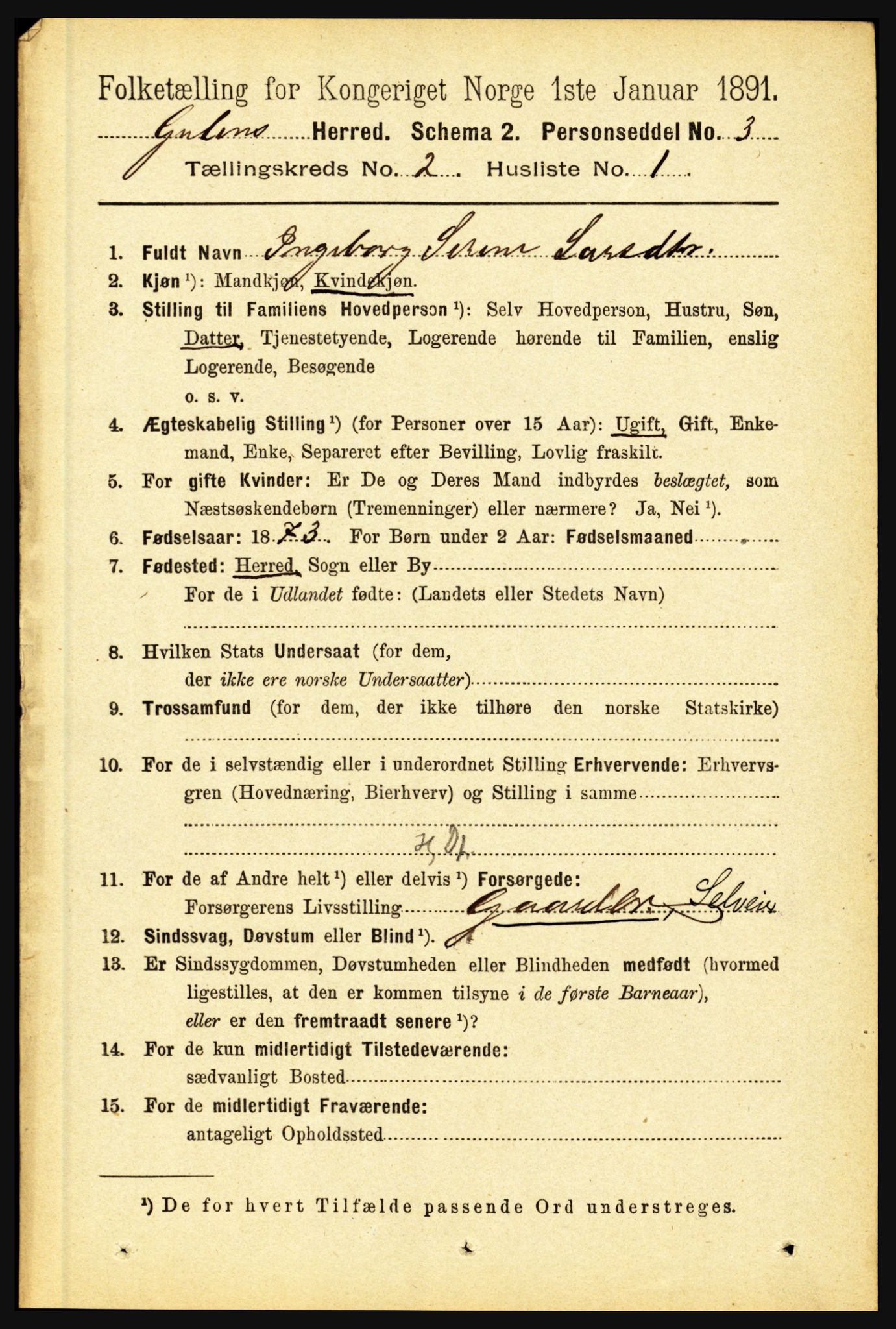 RA, 1891 census for 1411 Gulen, 1891, p. 494