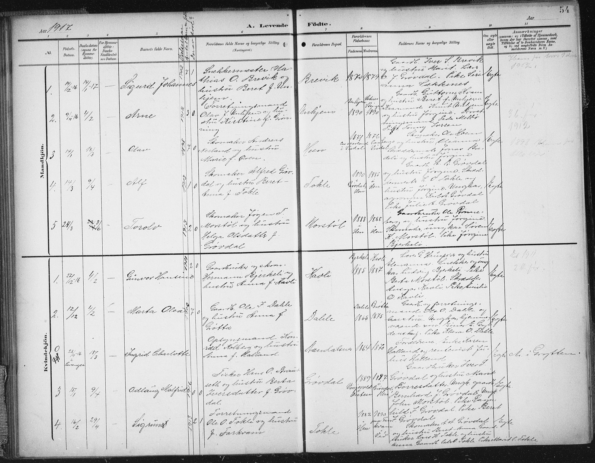 Ministerialprotokoller, klokkerbøker og fødselsregistre - Møre og Romsdal, SAT/A-1454/545/L0589: Parish register (copy) no. 545C03, 1902-1937, p. 54