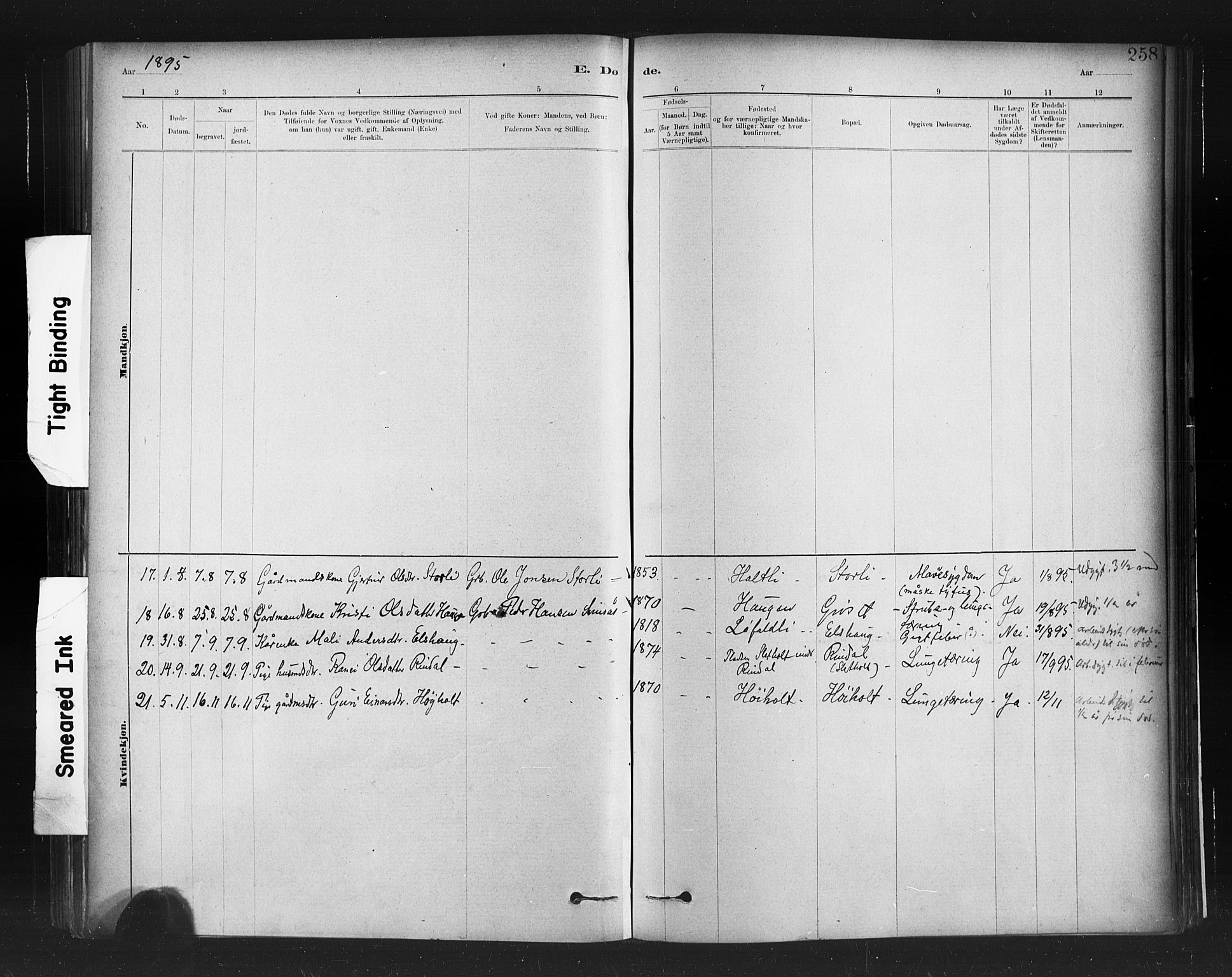 Ministerialprotokoller, klokkerbøker og fødselsregistre - Møre og Romsdal, SAT/A-1454/598/L1069: Parish register (official) no. 598A03, 1882-1895, p. 258