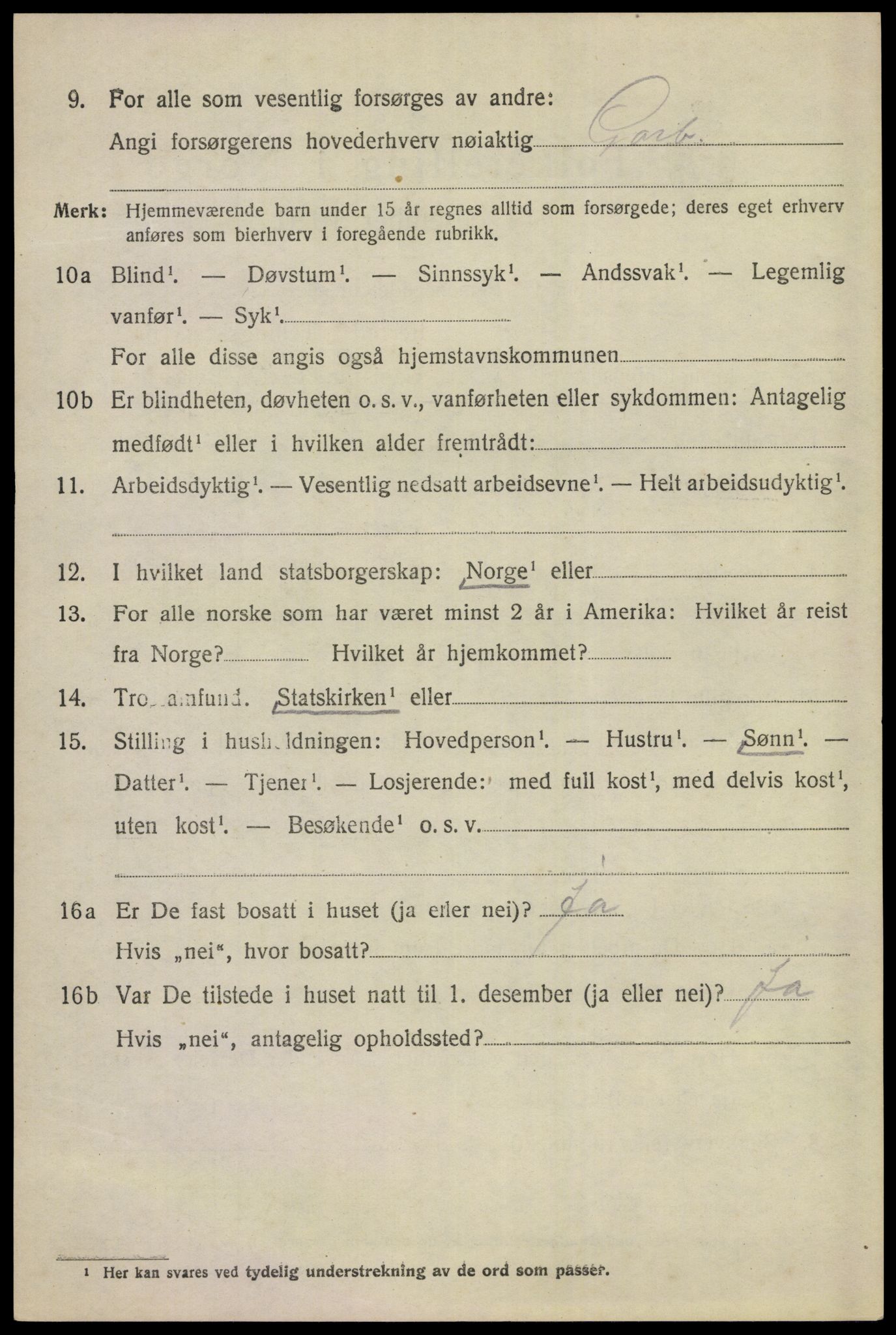 SAKO, 1920 census for Ål, 1920, p. 3311