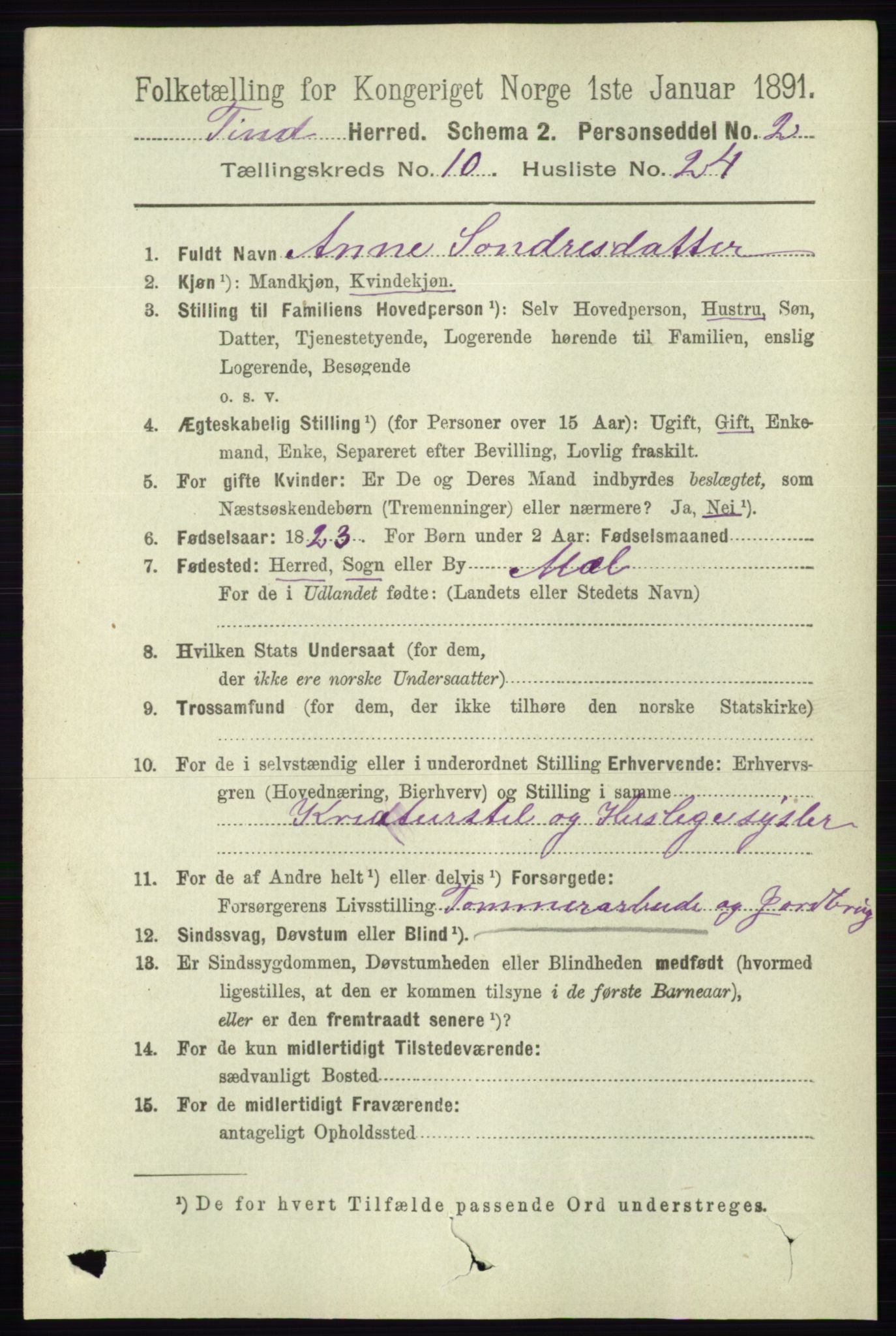 RA, 1891 census for 0826 Tinn, 1891, p. 2088