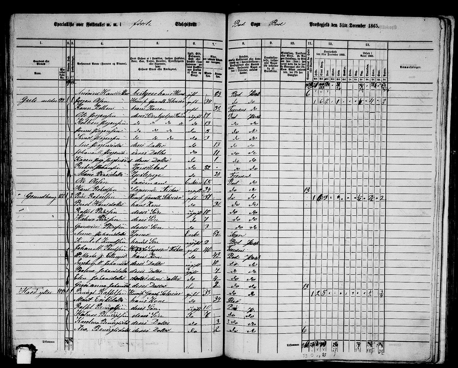 RA, 1865 census for Bud, 1865, p. 72