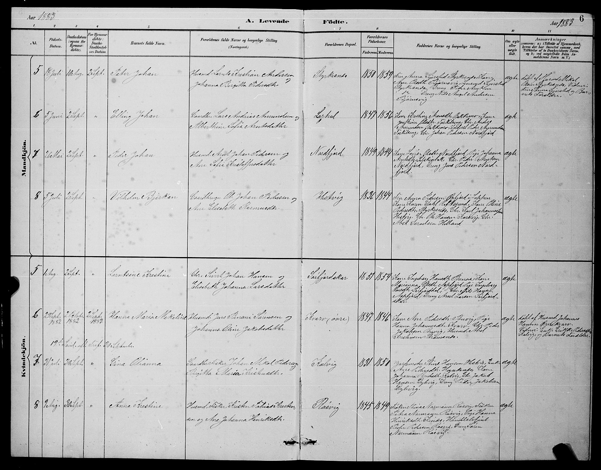 Ministerialprotokoller, klokkerbøker og fødselsregistre - Nordland, SAT/A-1459/854/L0785: Parish register (copy) no. 854C01, 1883-1891, p. 6