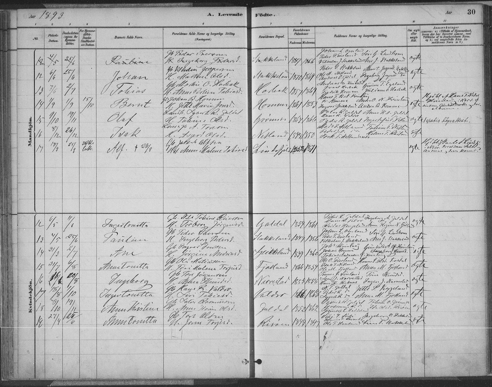 Fjotland sokneprestkontor, SAK/1111-0010/F/Fa/L0002: Parish register (official) no. A 2, 1880-1898, p. 30