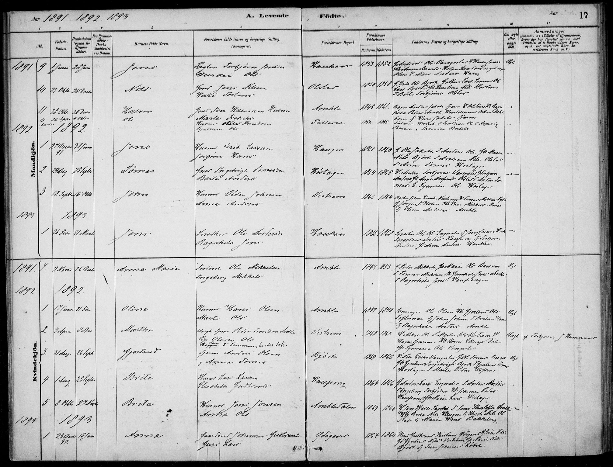 Sogndal sokneprestembete, SAB/A-81301/H/Haa/Haad/L0001: Parish register (official) no. D  1, 1878-1907, p. 17