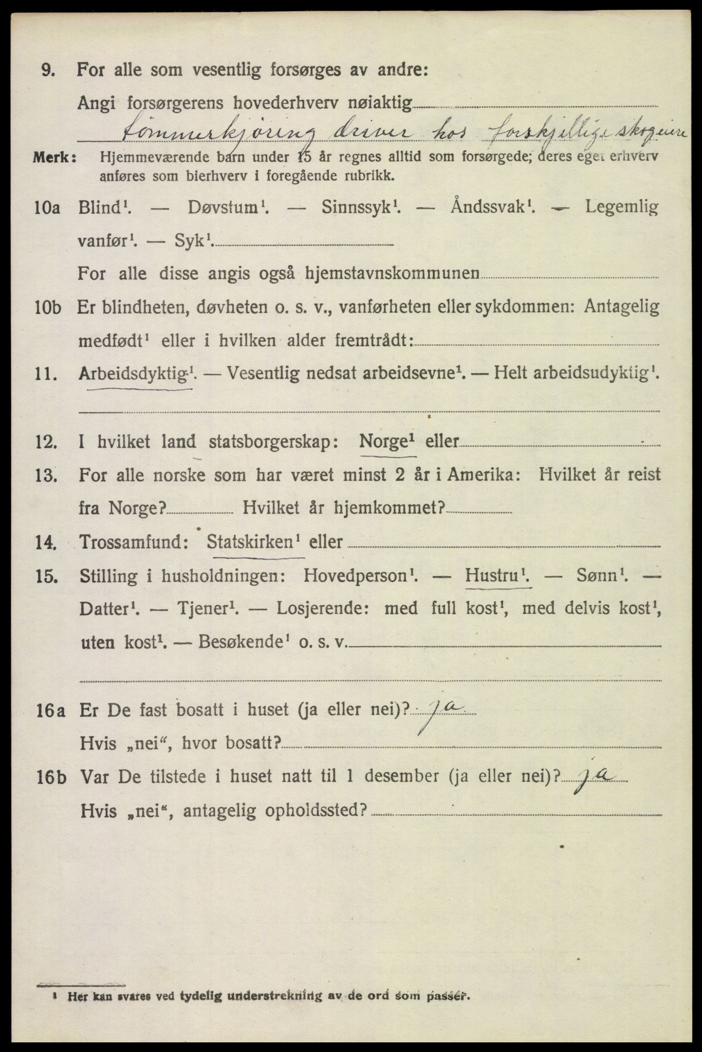 SAH, 1920 census for Trysil, 1920, p. 14566