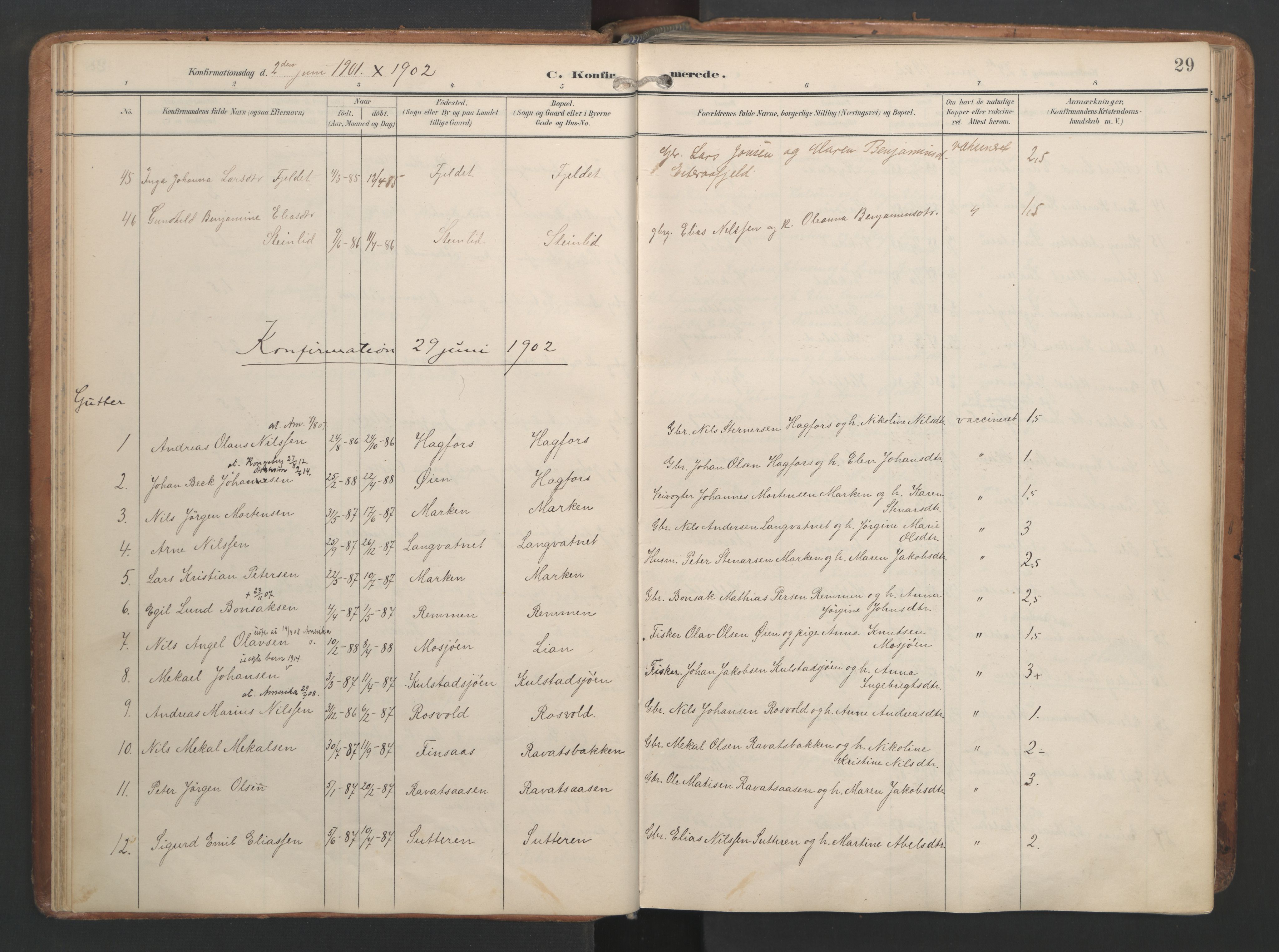 Ministerialprotokoller, klokkerbøker og fødselsregistre - Nordland, AV/SAT-A-1459/820/L0298: Parish register (official) no. 820A19, 1897-1915, p. 29