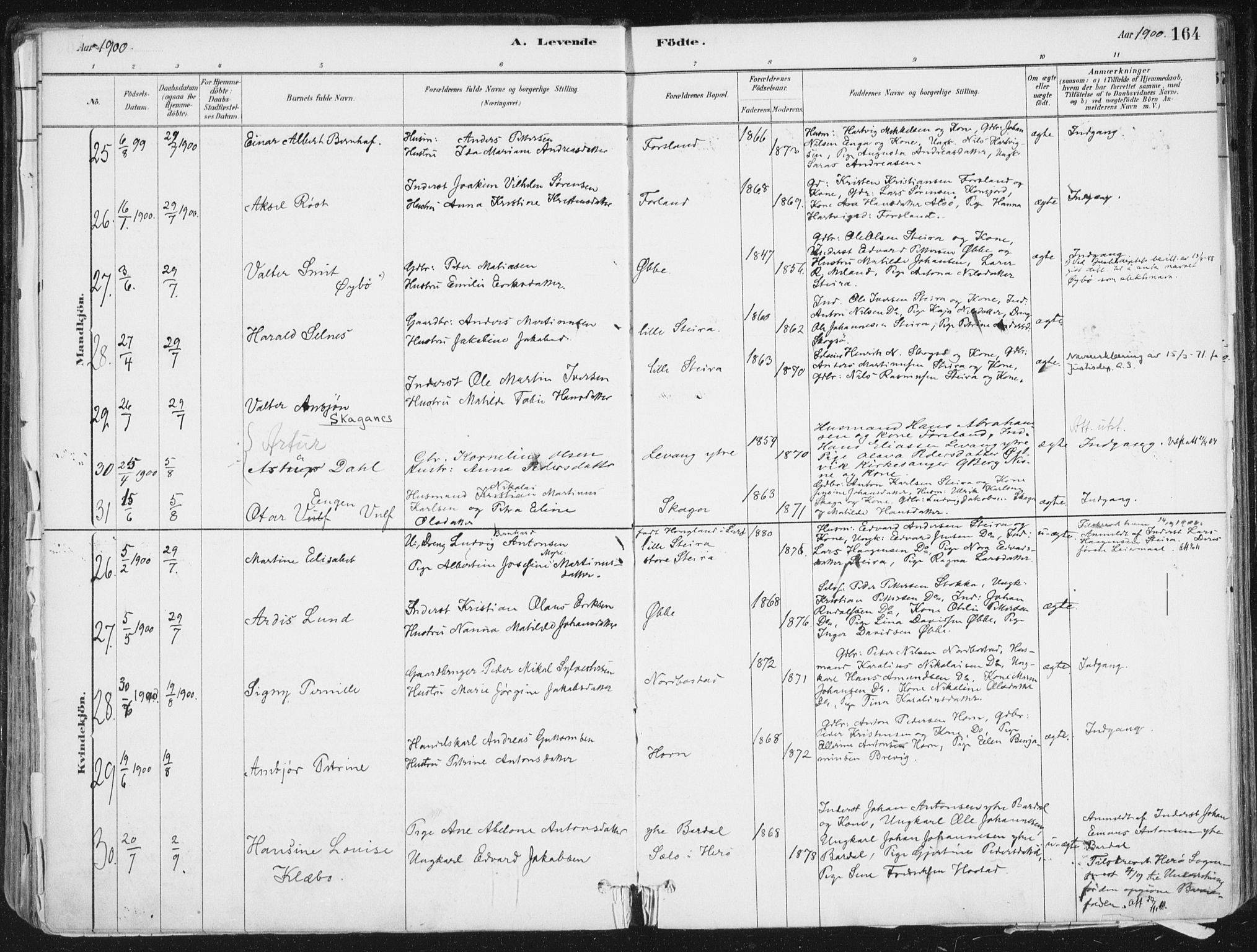 Ministerialprotokoller, klokkerbøker og fødselsregistre - Nordland, AV/SAT-A-1459/838/L0552: Parish register (official) no. 838A10, 1880-1910, p. 164