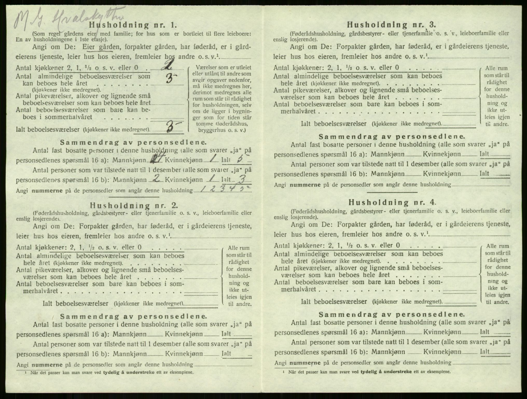 SAKO, 1920 census for Stokke, 1920, p. 1129