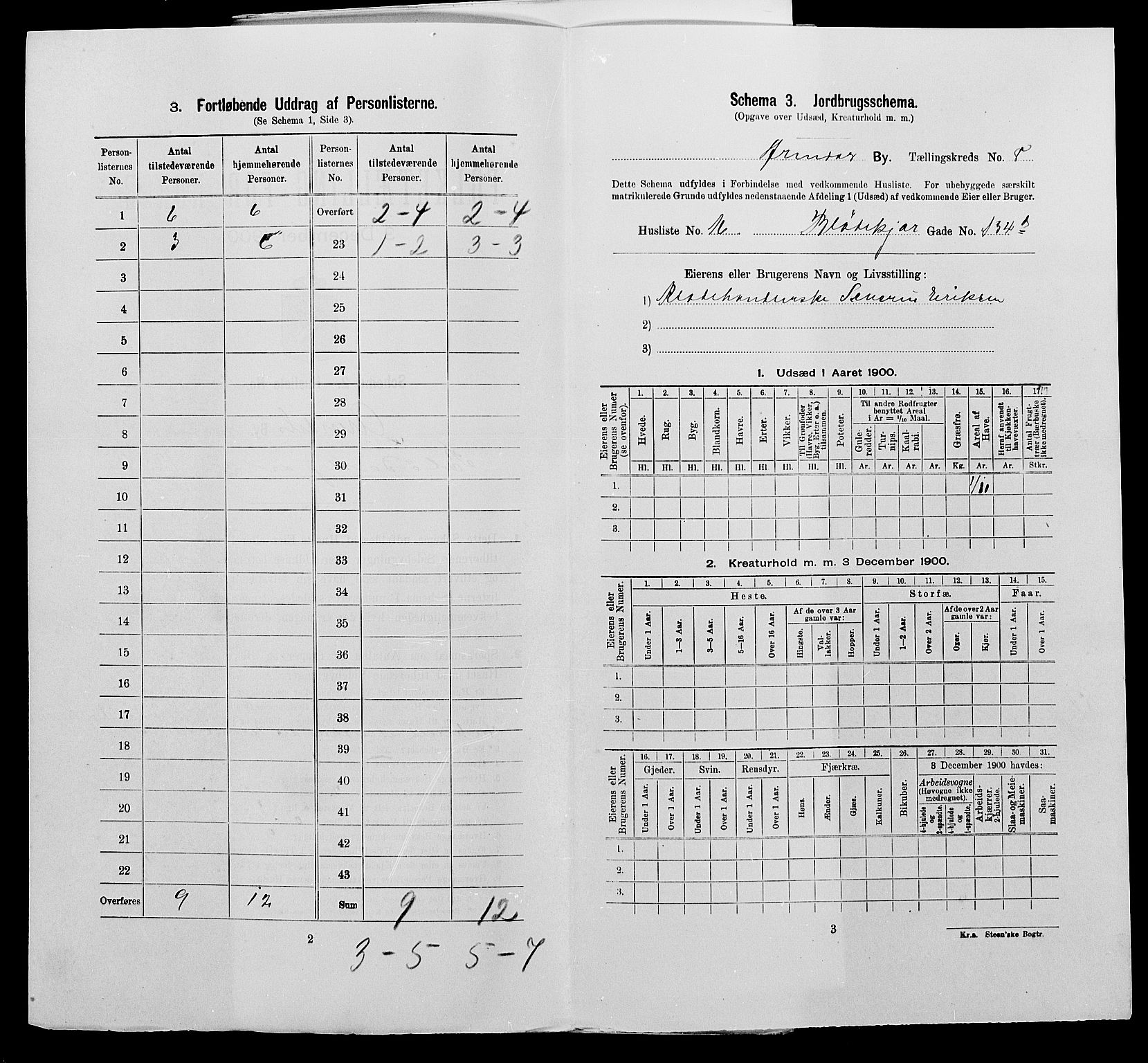 SAK, 1900 census for Arendal, 1900, p. 1071