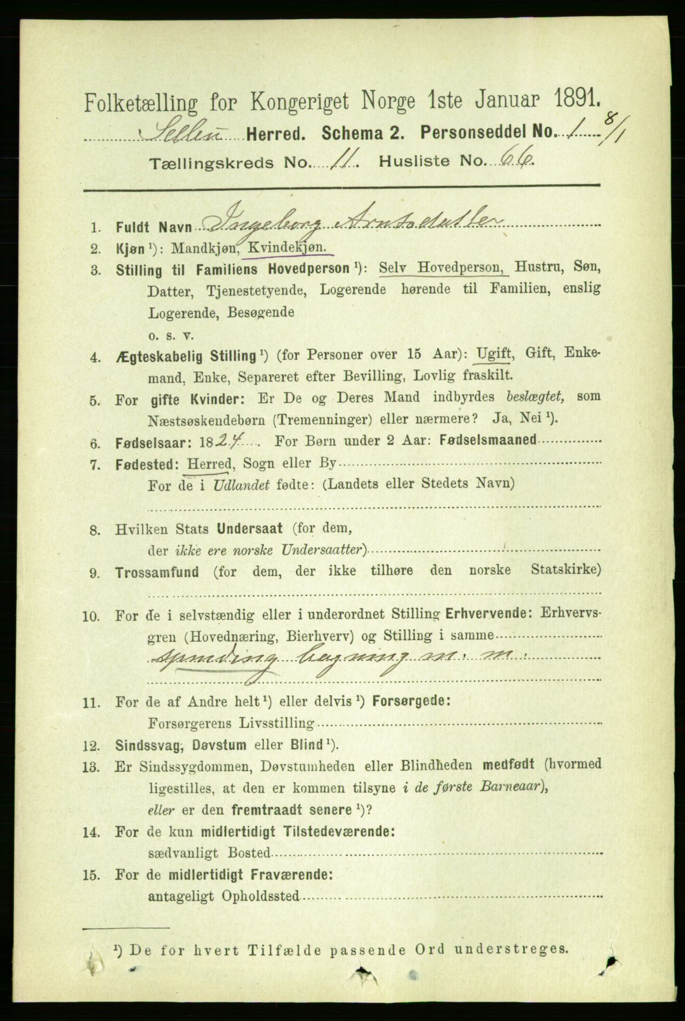 RA, 1891 census for 1664 Selbu, 1891, p. 4367