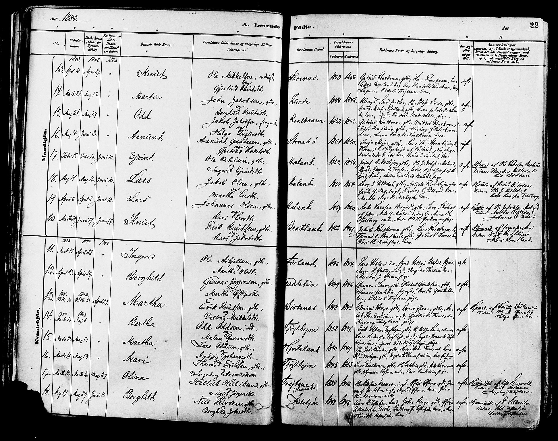 Suldal sokneprestkontor, AV/SAST-A-101845/01/IV/L0011: Parish register (official) no. A 11, 1878-1900, p. 22