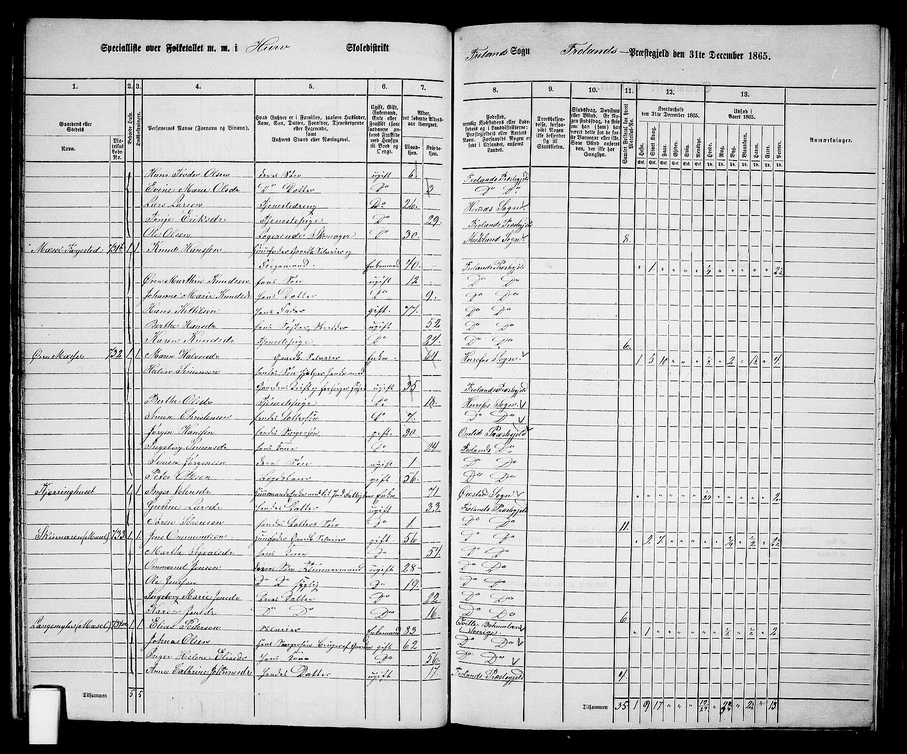 RA, 1865 census for Froland, 1865, p. 23