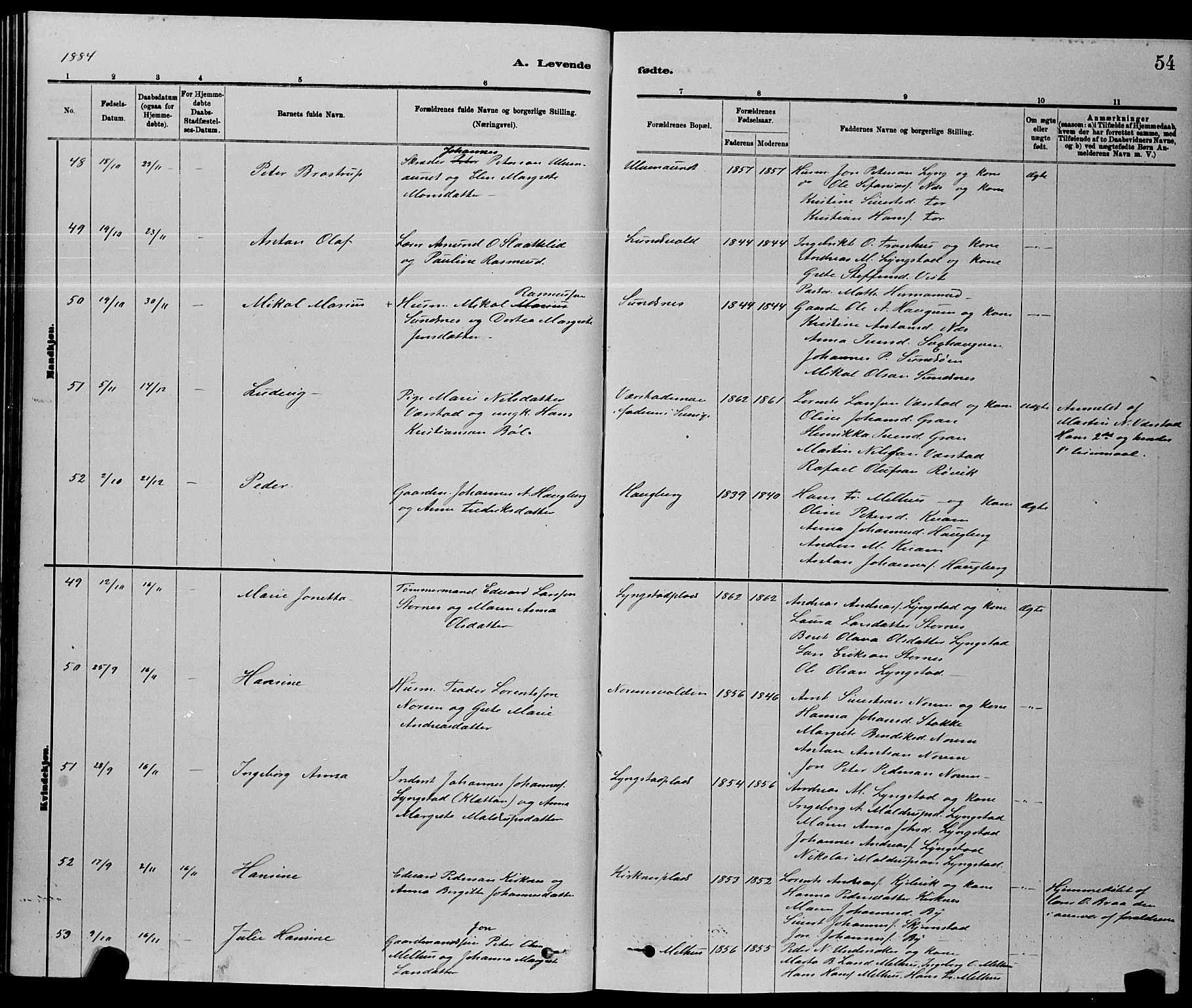 Ministerialprotokoller, klokkerbøker og fødselsregistre - Nord-Trøndelag, AV/SAT-A-1458/730/L0301: Parish register (copy) no. 730C04, 1880-1897, p. 54