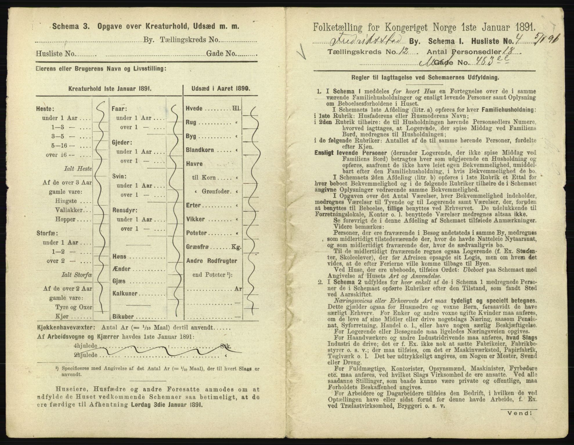 RA, 1891 census for 0103 Fredrikstad, 1891, p. 2296