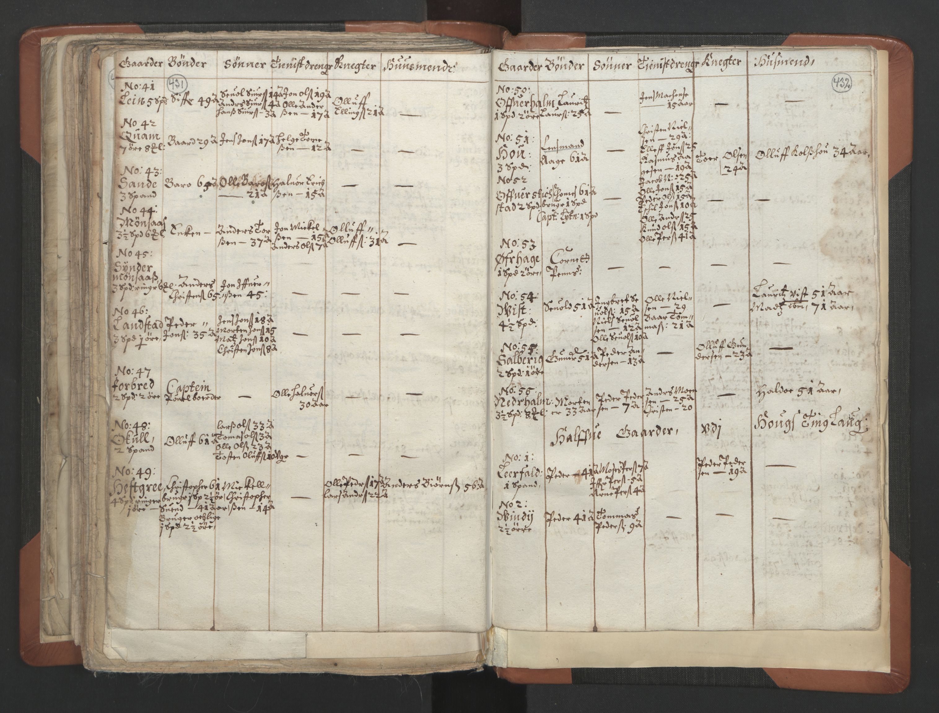 RA, Vicar's Census 1664-1666, no. 32: Innherad deanery, 1664-1666, p. 431-432