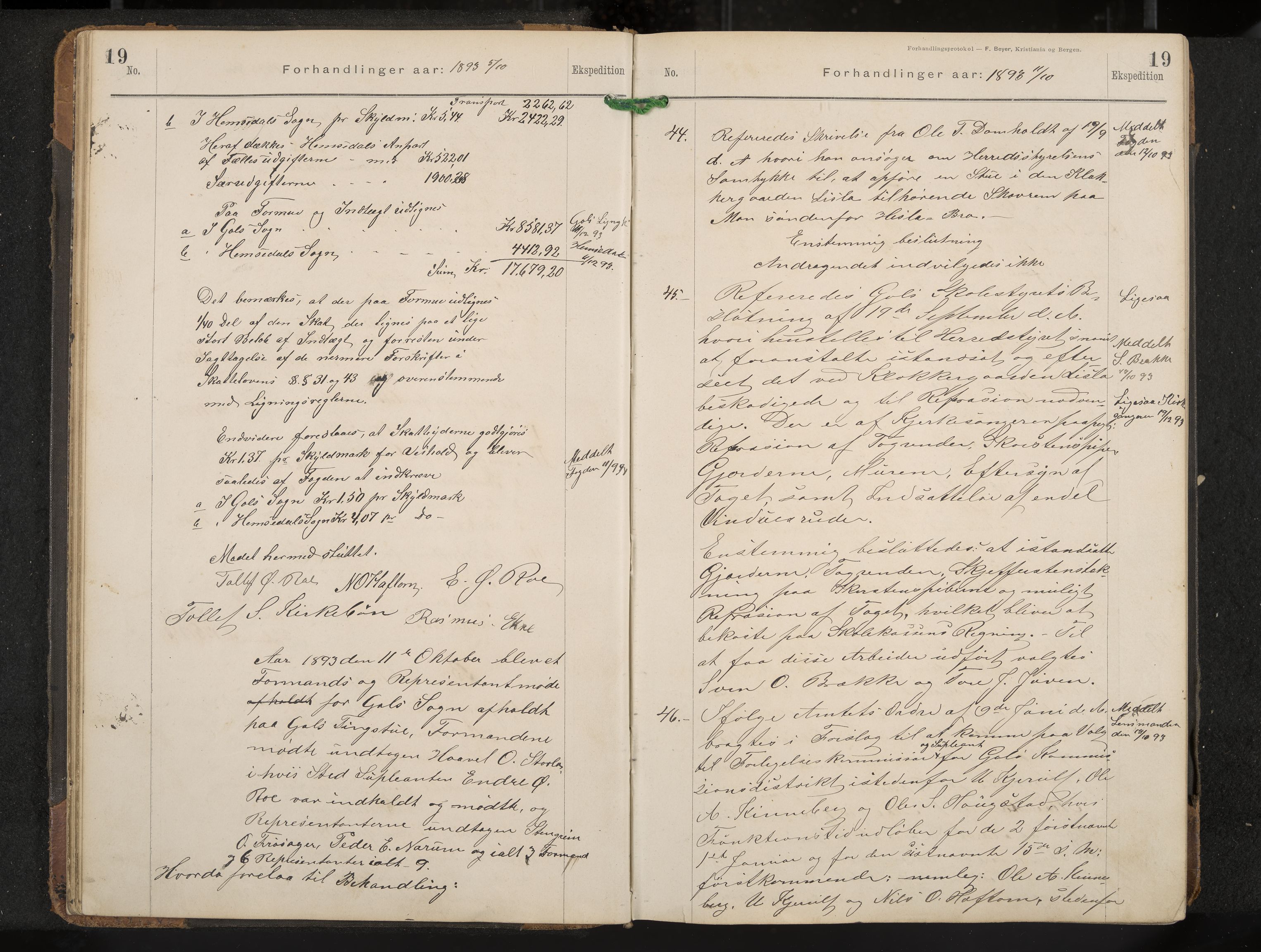 Gol formannskap og sentraladministrasjon, IKAK/0617021-1/A/Aa/L0003: Møtebok, 1892-1905, p. 19