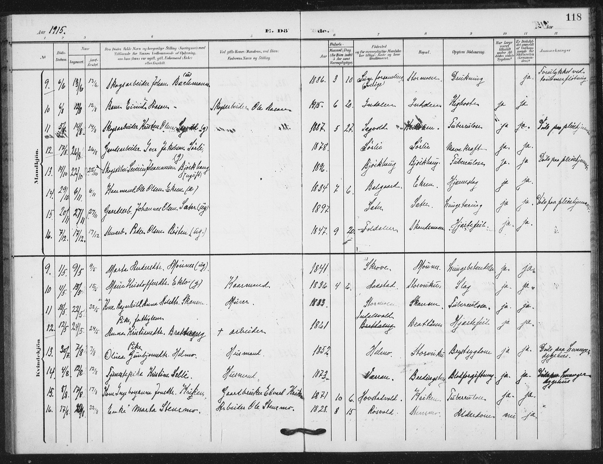 Ministerialprotokoller, klokkerbøker og fødselsregistre - Nord-Trøndelag, AV/SAT-A-1458/724/L0264: Parish register (official) no. 724A02, 1908-1915, p. 118