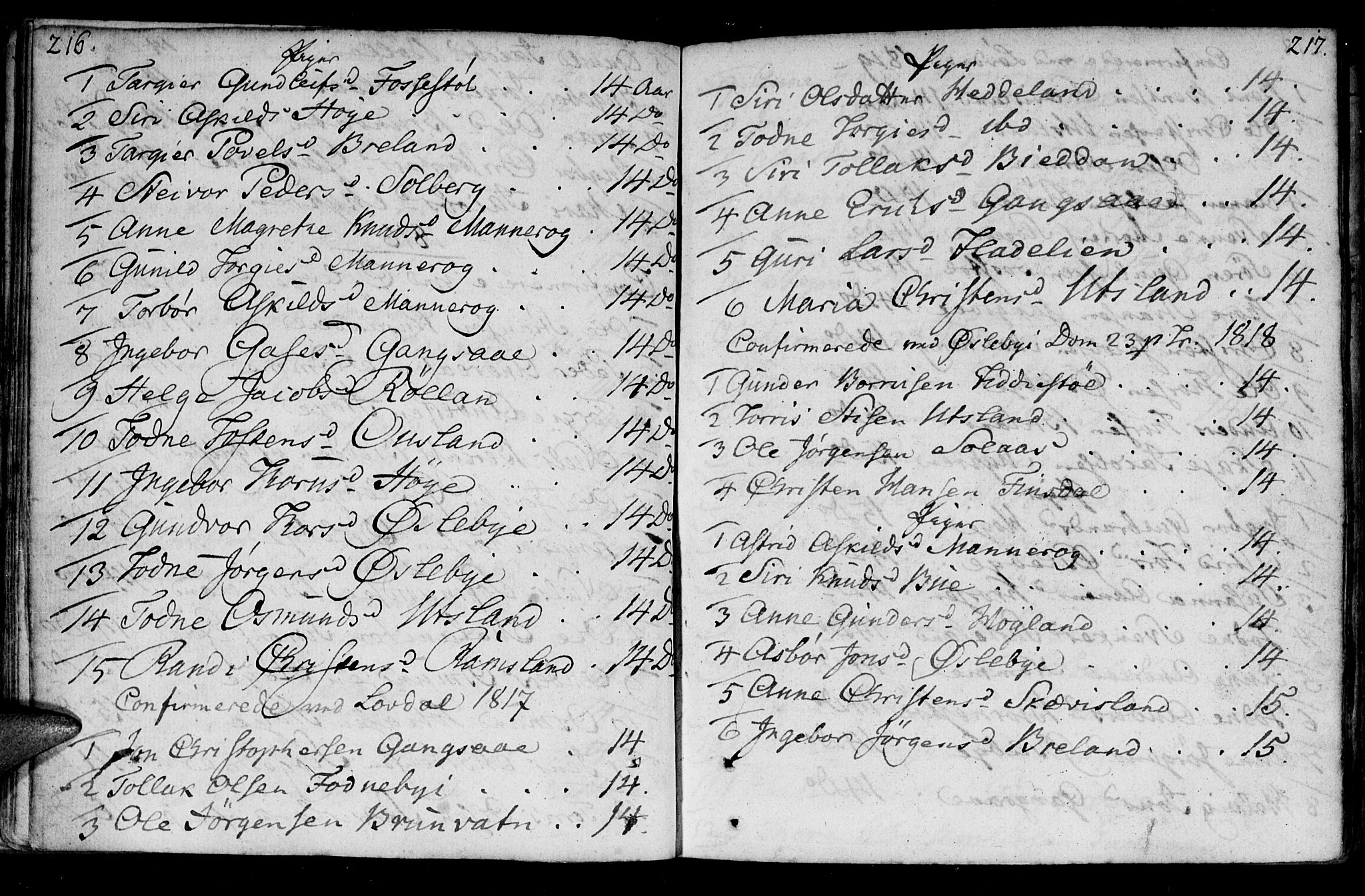 Holum sokneprestkontor, AV/SAK-1111-0022/F/Fa/Fac/L0001: Parish register (official) no. A 1, 1773-1820, p. 216-217