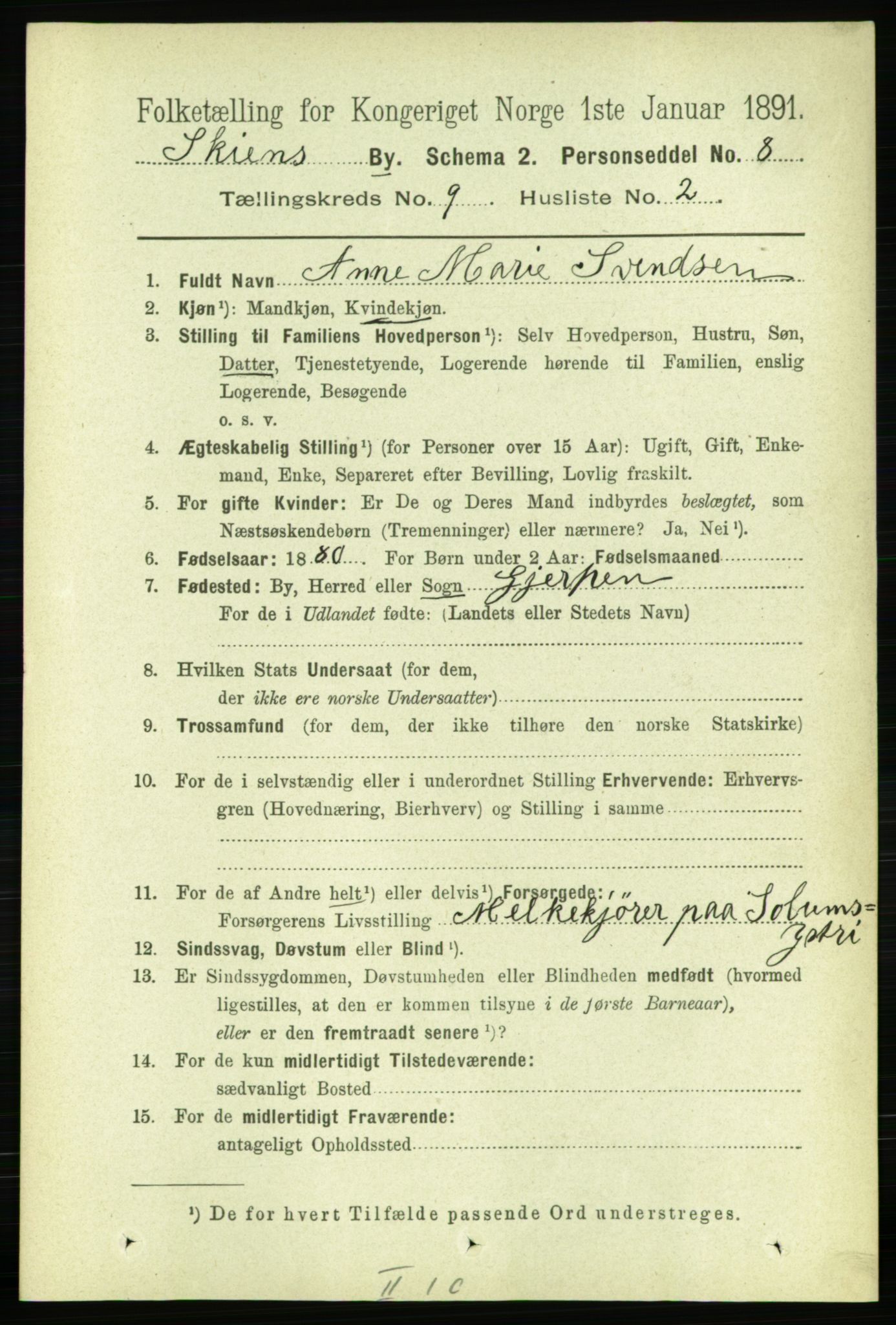 RA, 1891 census for 0806 Skien, 1891, p. 3534