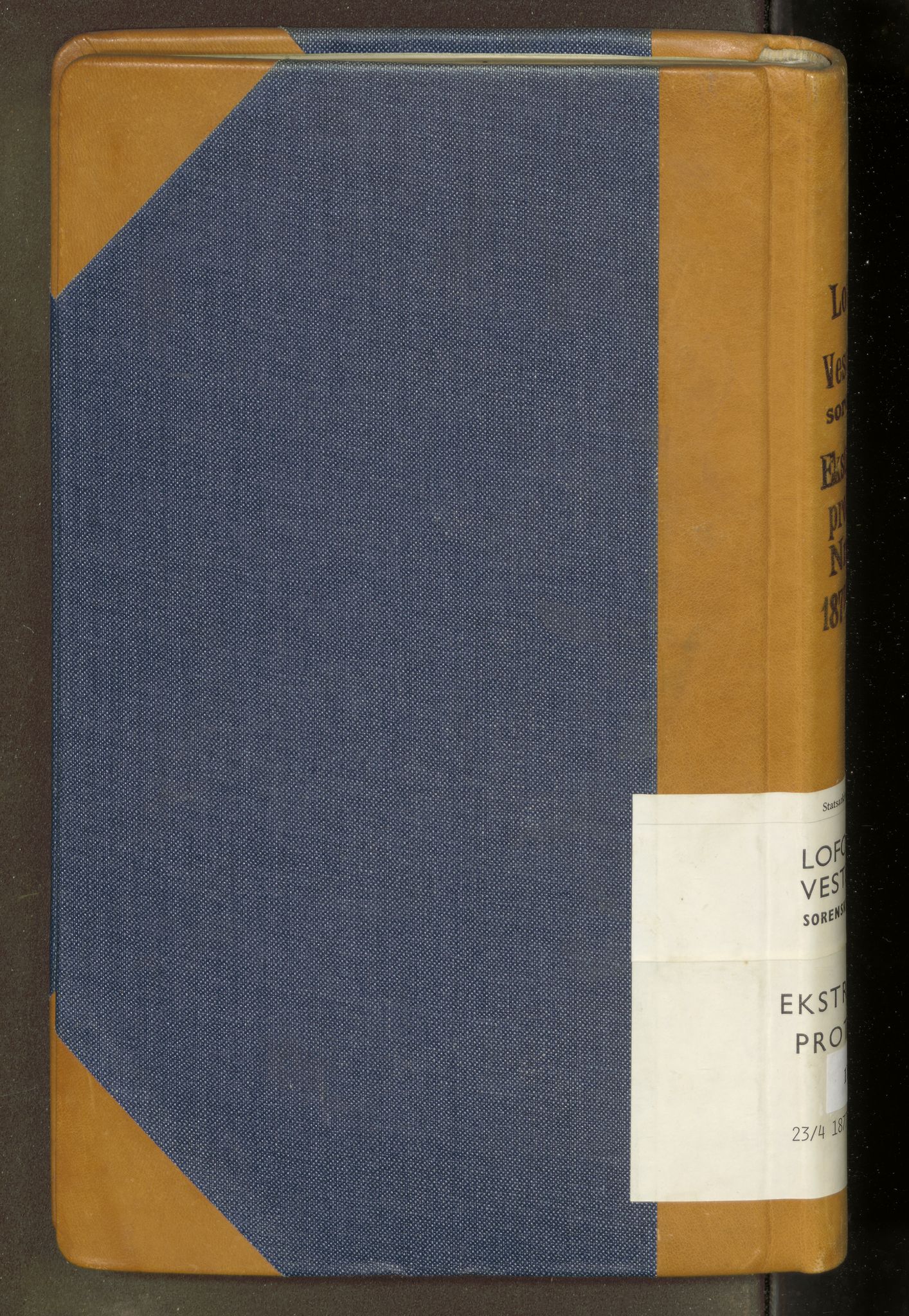 Vesterålen sorenskriveri, SAT/A-4180/1/1/1B/L0018: Ekstrarettsprotokoll, 1877-1879