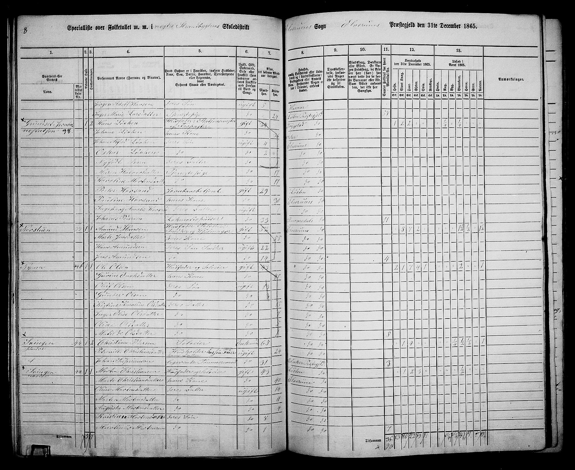 RA, 1865 census for Elverum, 1865, p. 126