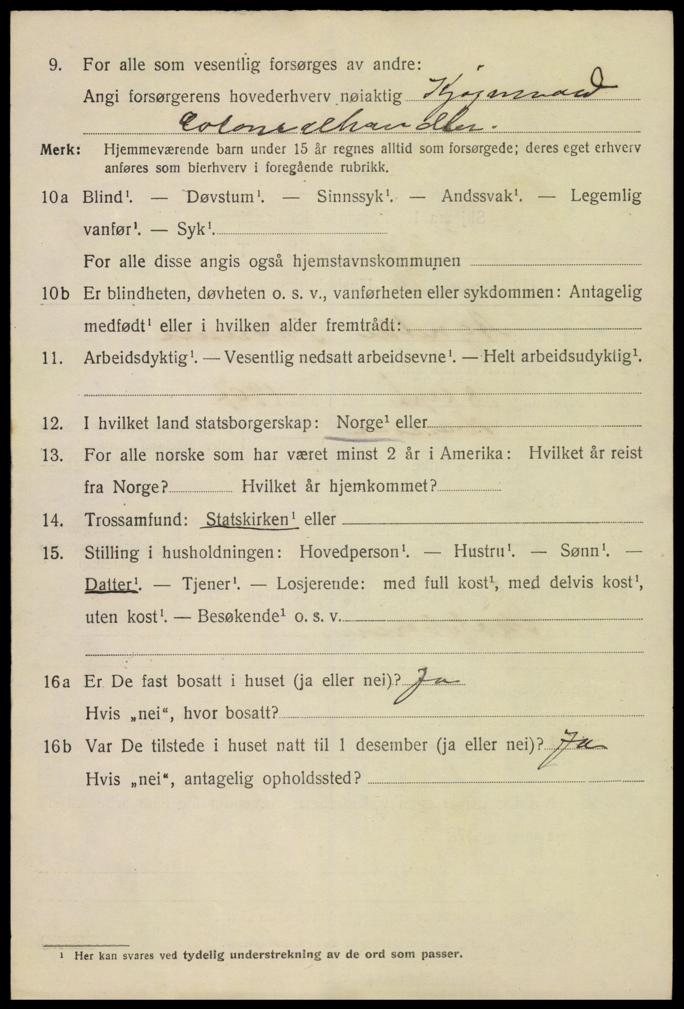 SAH, 1920 census for Hamar, 1920, p. 17528