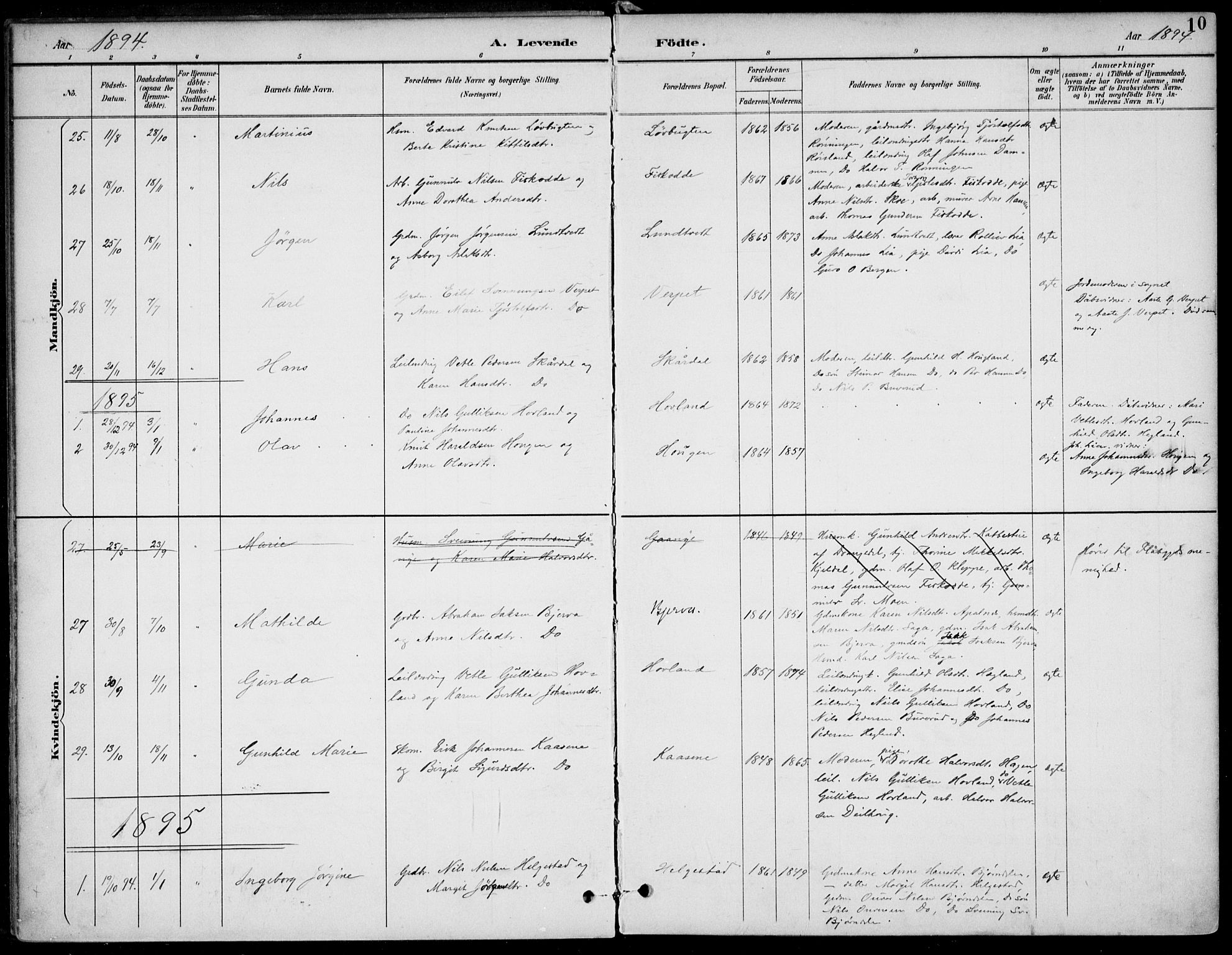 Lunde kirkebøker, AV/SAKO-A-282/F/Fa/L0003: Parish register (official) no. I 3, 1893-1902, p. 10
