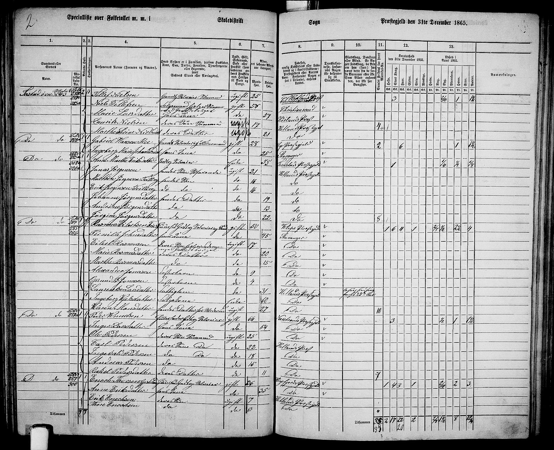 RA, 1865 census for Hetland, 1865, p. 155