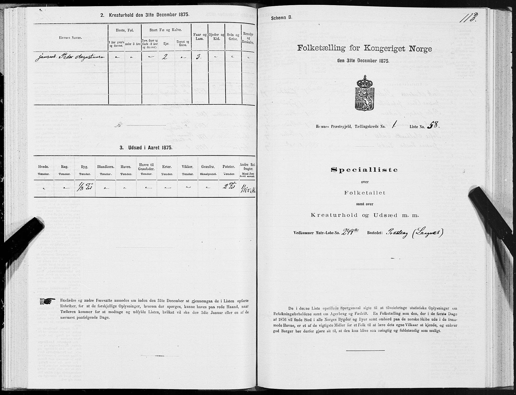 SAT, 1875 census for 1832P Hemnes, 1875, p. 1113