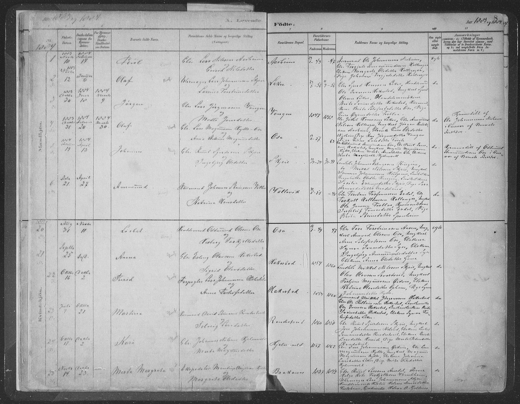 Ulvik sokneprestembete, SAB/A-78801/H/Hab: Parish register (copy) no. A 3, 1883-1908, p. 8